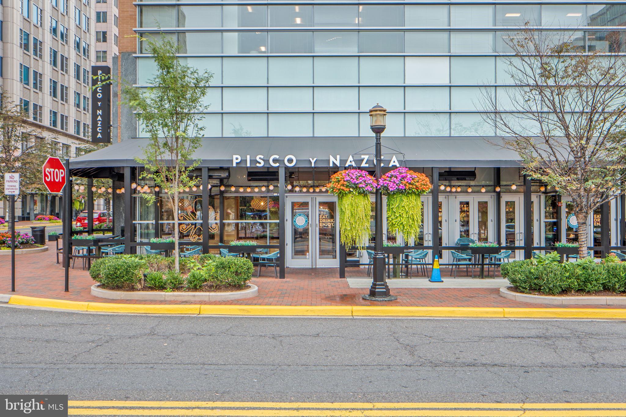 SAVOY AT RESTON TOWN CENTER - Residential