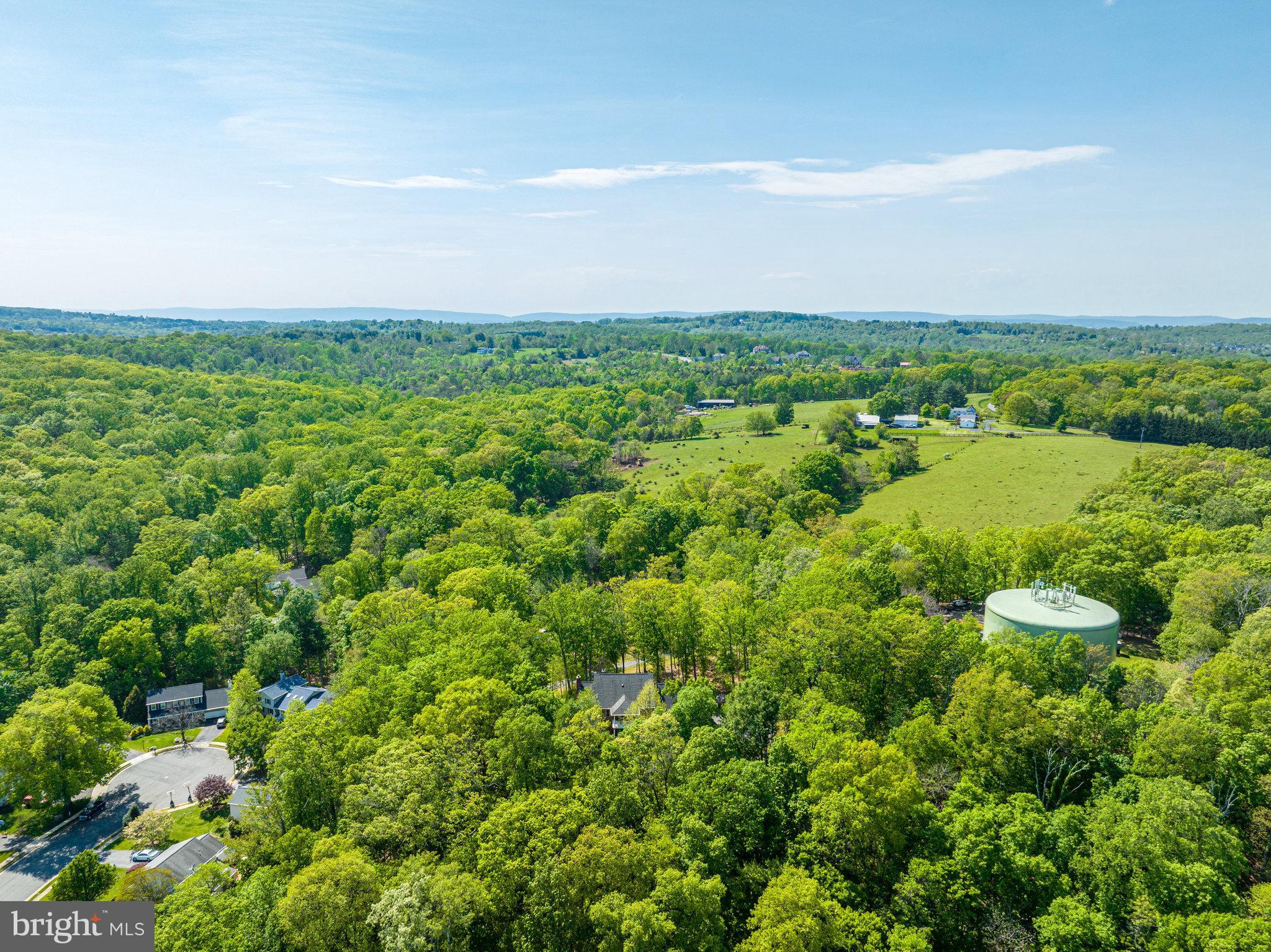 LEESBURG COUNTRY CLUB - Residential