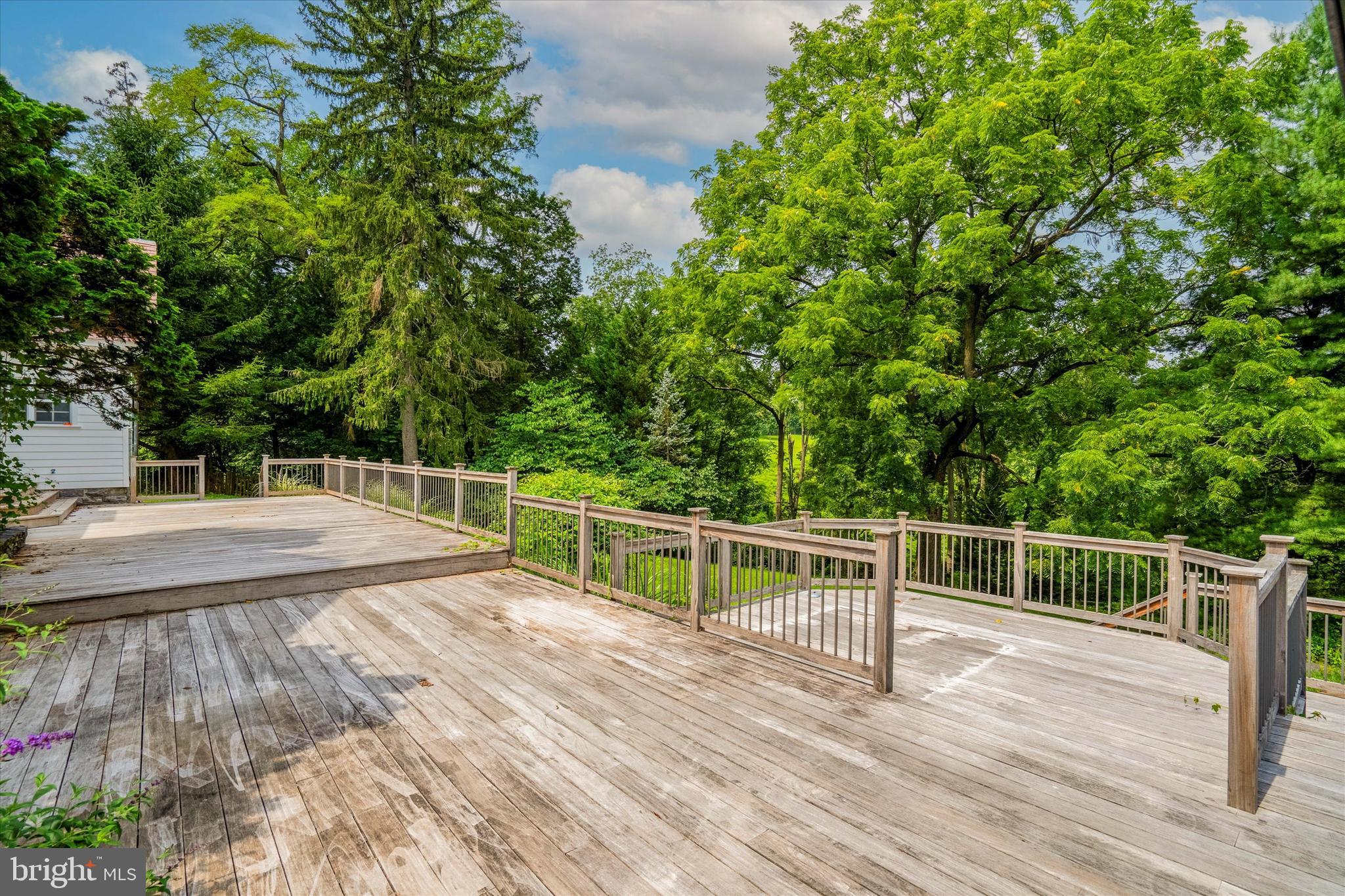 RADNOR WALK - Residential