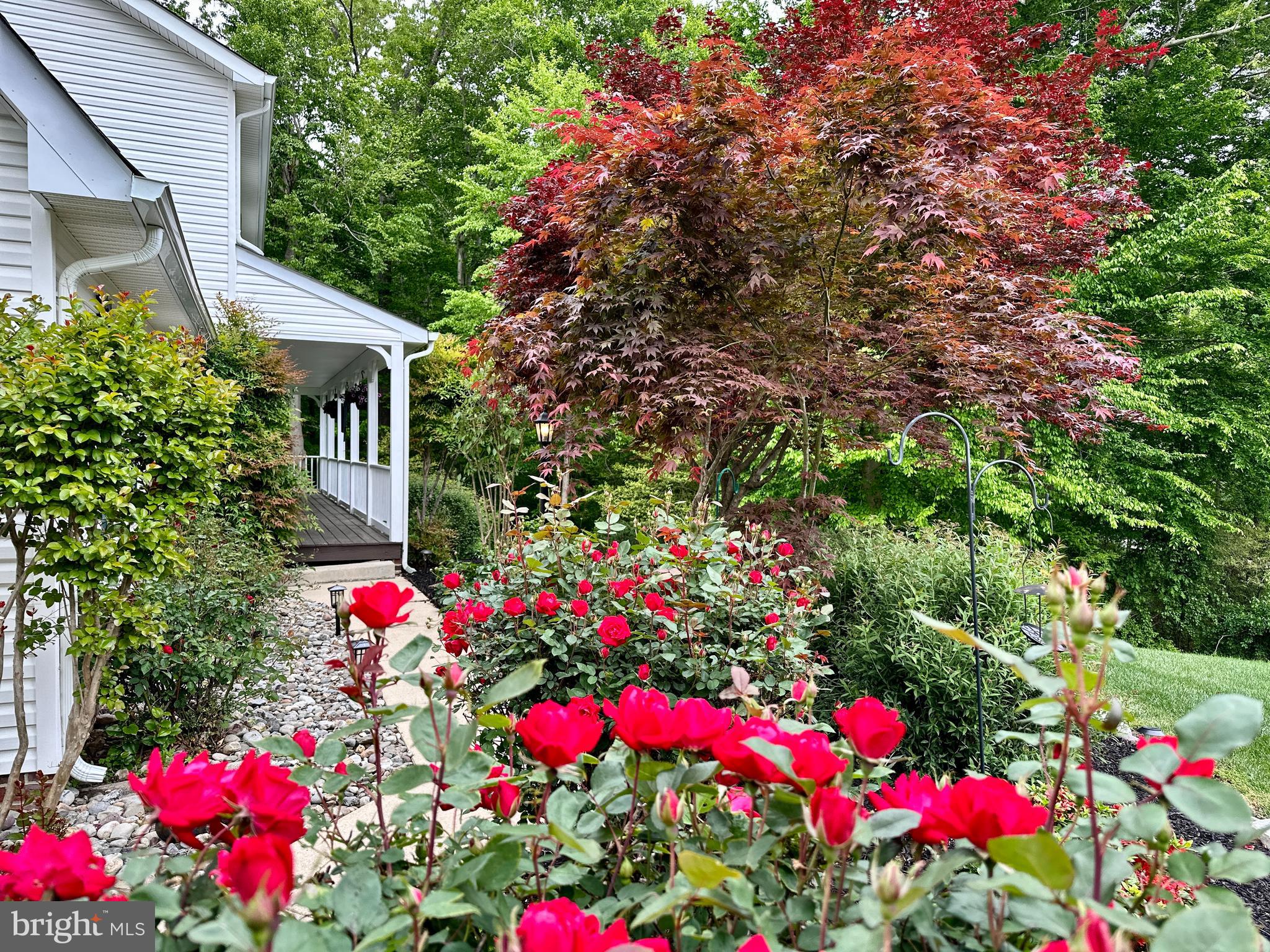 CHAPEL POINT WOODS - Residential