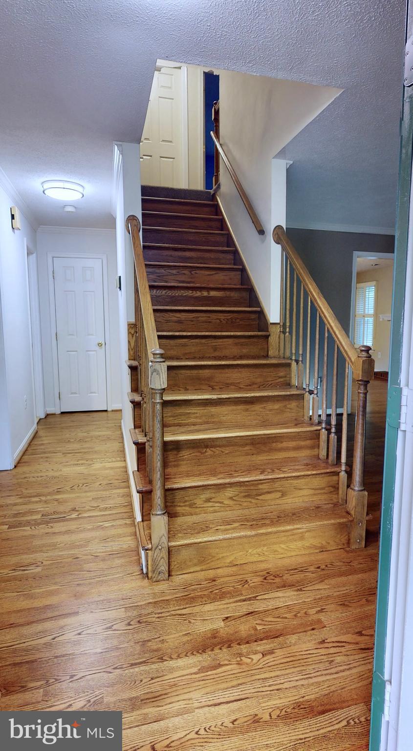 CHAPEL POINT WOODS - Residential