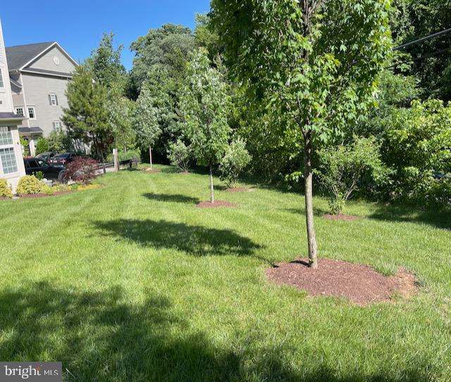 7820 LOBLOLLY WAY