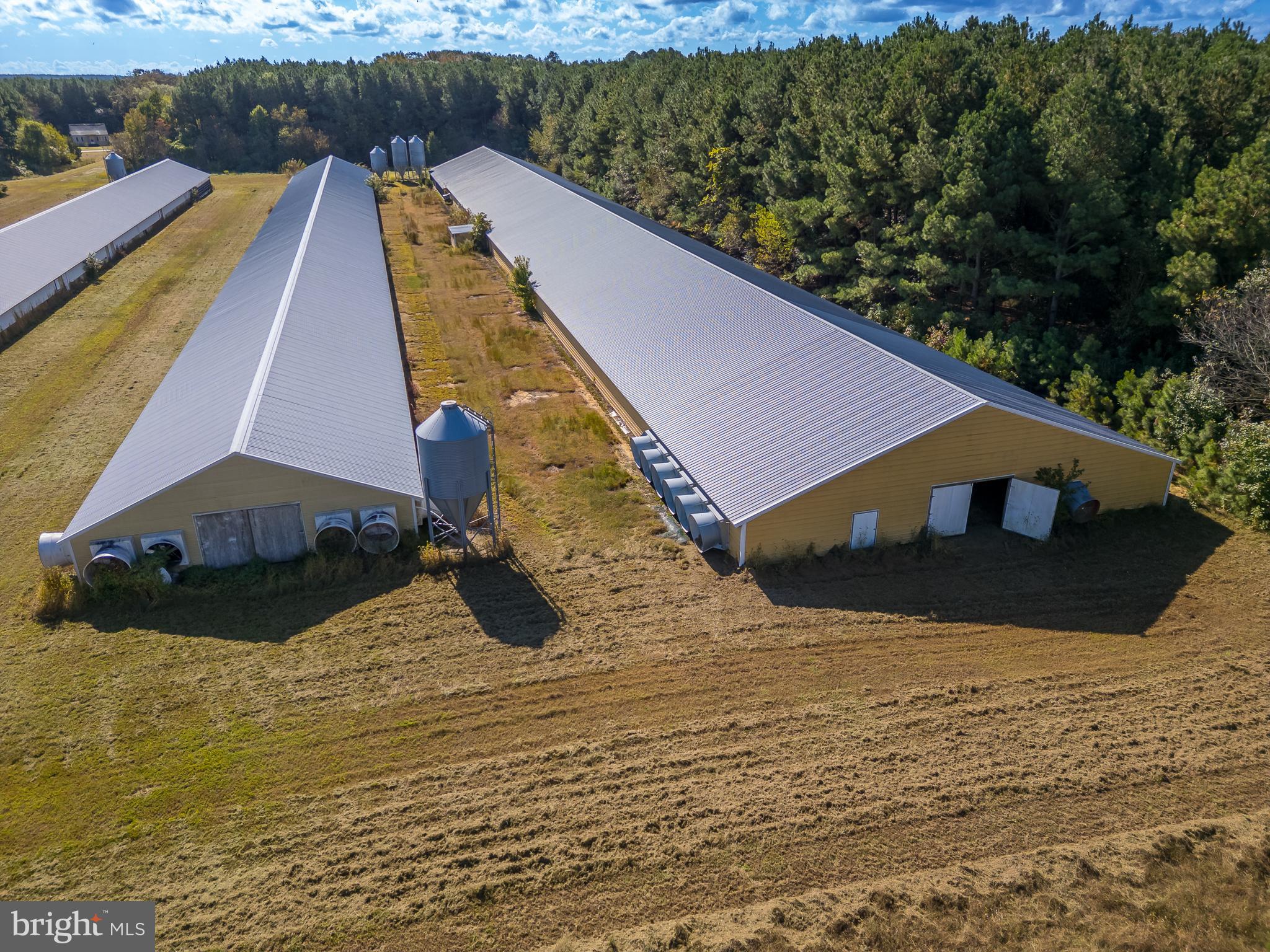 NONE AVAILABLE - Farm