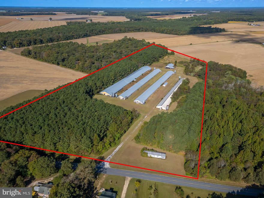 OFFERED FOR SALE BY SEALED BID, this bank-owned poultry operation in Dorchester County presents a valuable opportunity for investors or growers seeking a farm with significant infrastructure and expansion potential. The property features multiple poultry houses totaling over 91,000± square feet of production space.

Improvements Include:

(1) 42' x 400' house built in the 1980s (16,800± sqft)

(2) 40' x 500' houses built in 1997 (40,000± sqft total)

(1) 66' x 520' house built in 2008 (34,320± sqft)

40' x 84' manure shed

The farm is not currently in production. An upgrades and repair estimate is available upon request to assist prospective buyers in evaluating potential investment requirements. The updates quote is not specific to any particular integrator. It is simply a general quote based on estimated requirements.

Disclaimers:
The list price shown on MLS is based solely on the most recent tax-assessed value and is provided only to meet MLS system requirements. It does not reflect the seller’s opinion of value, anticipated sale price, or any minimum or reserve price. All interested parties are encouraged to conduct their own due diligence and submit competitive sealed bids based on their independent assessment of value. The seller reserves the right to reject any and all bids and to negotiate with any bidder following the conclusion of the sealed bid process.

The Land Group and Seller make no representations or warranties regarding the mobile home located on the property, its age, existence, condition, or the functionality of any septic system, well, or other utilities that may serve the property, nor any knowledge of an approved perc or perc test. Buyers should verify all improvements, utilities, and site conditions independently.

Bid package is available upon request.