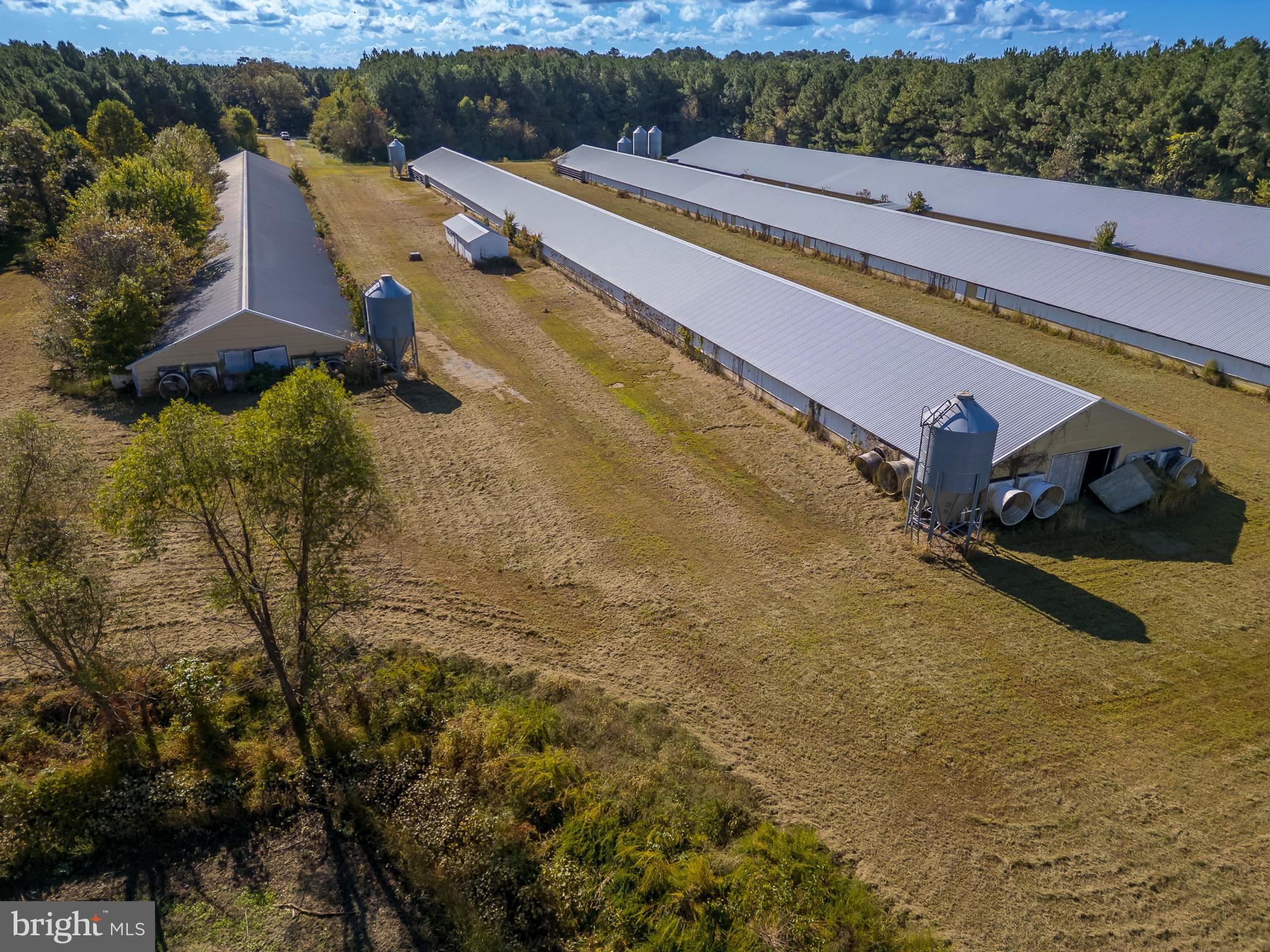 NONE AVAILABLE - Farm