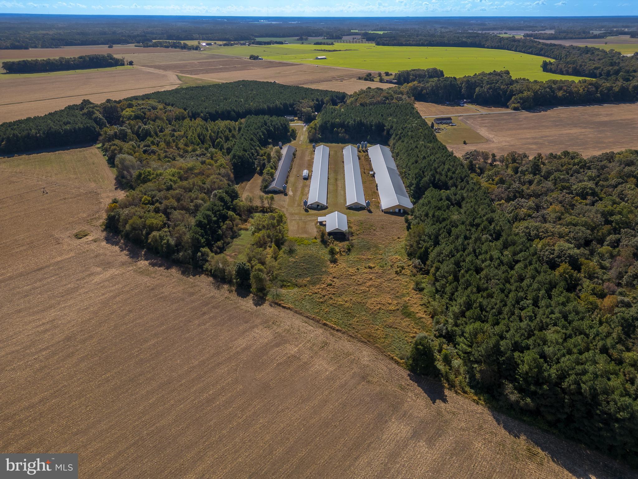 NONE AVAILABLE - Farm