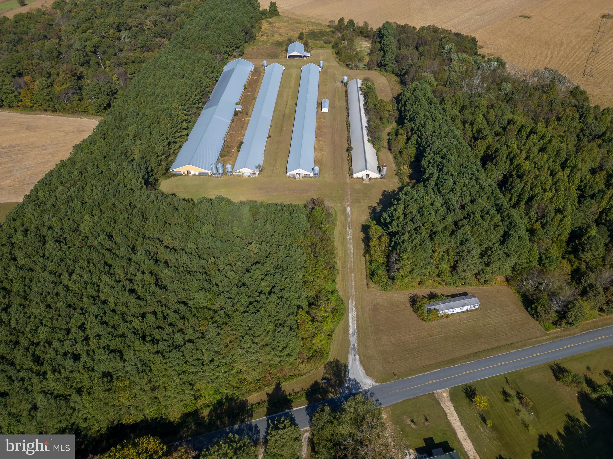 NONE AVAILABLE - Farm