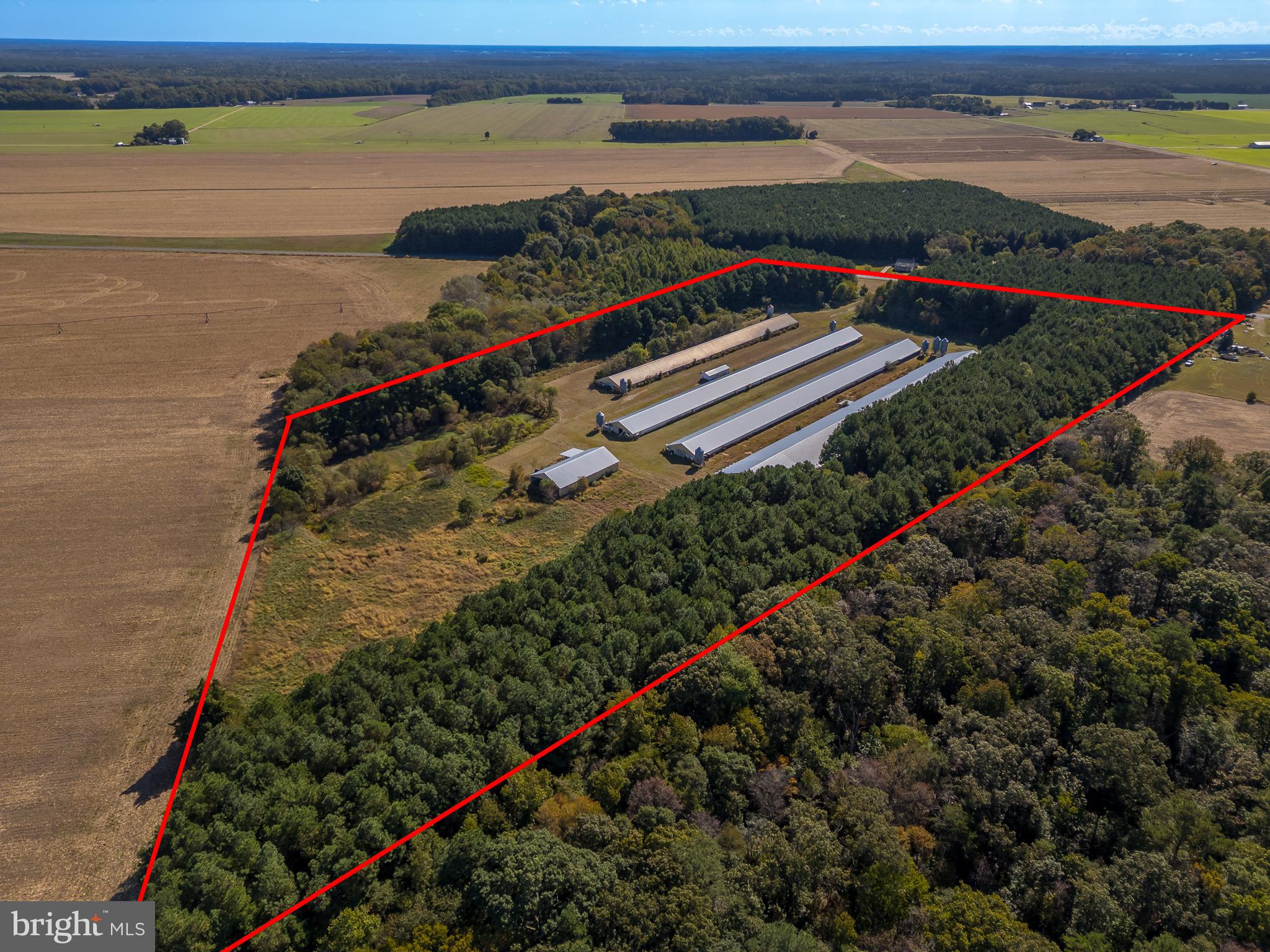 NONE AVAILABLE - Farm