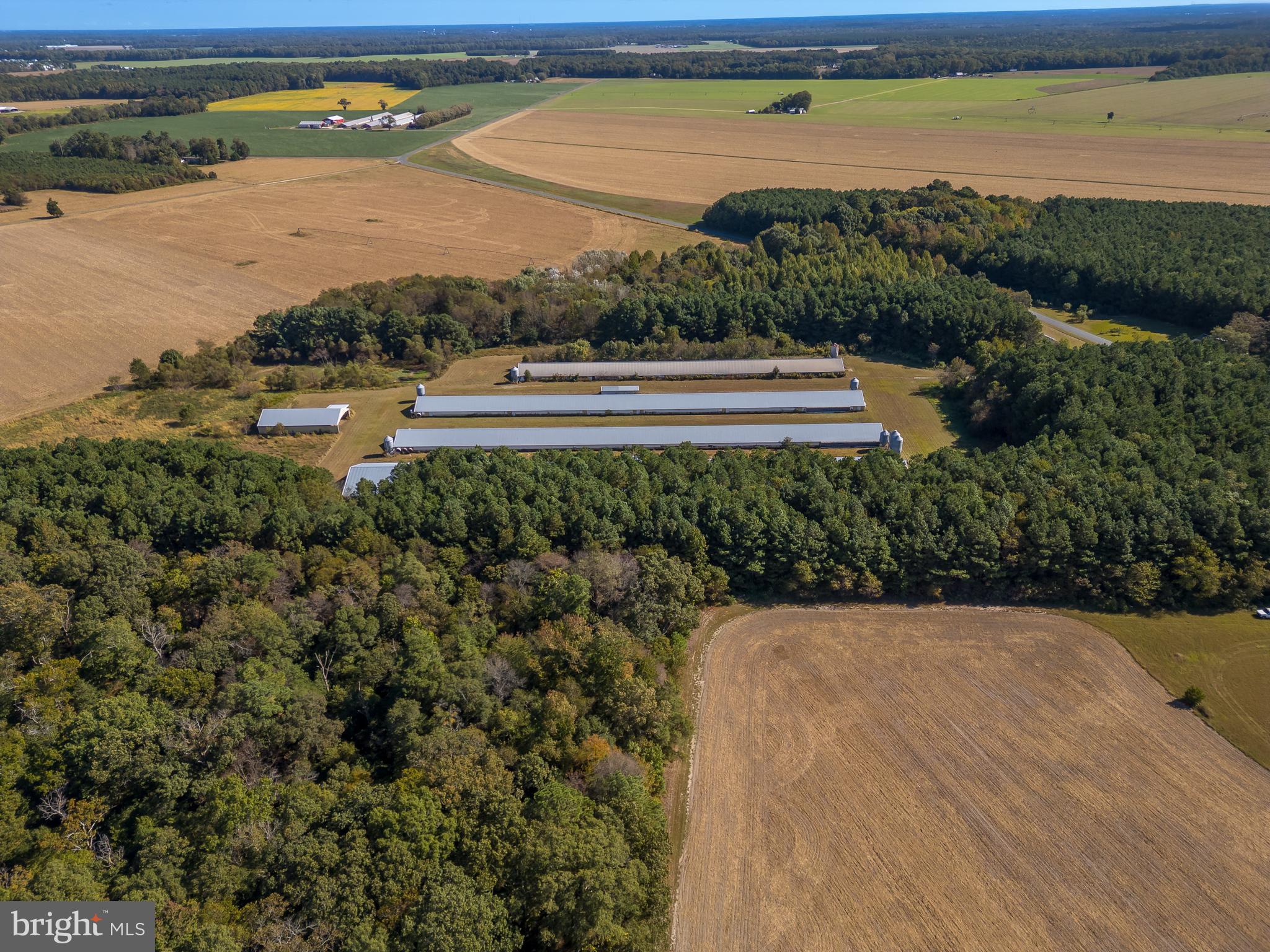 NONE AVAILABLE - Farm