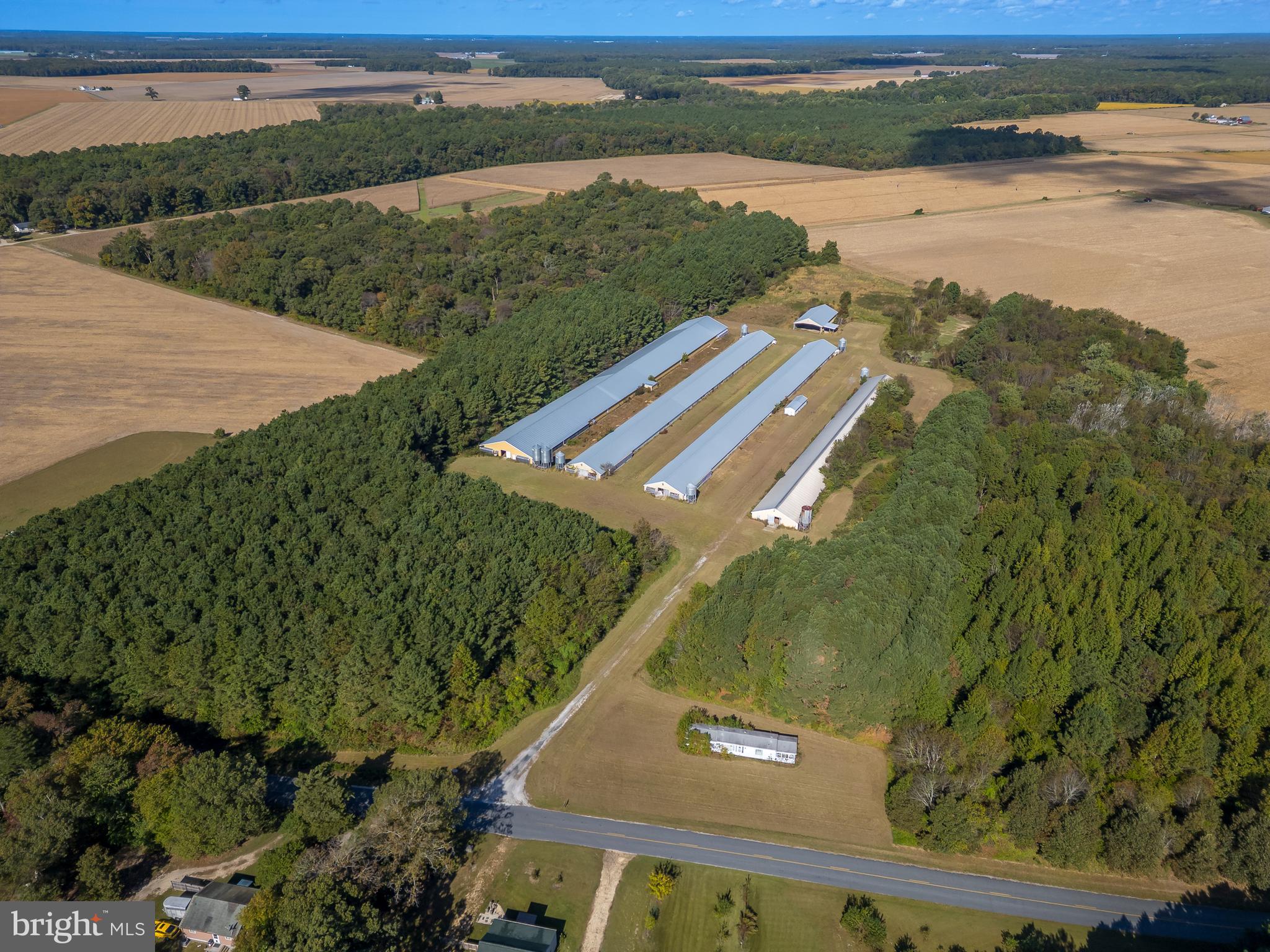 NONE AVAILABLE - Farm