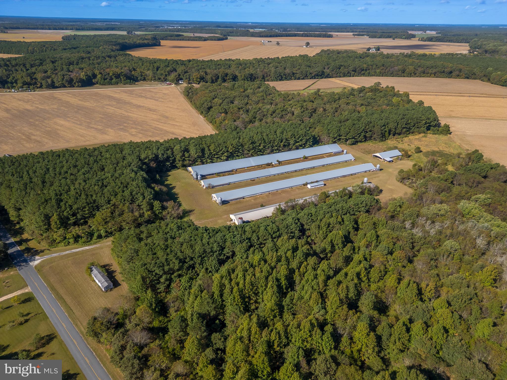 NONE AVAILABLE - Farm