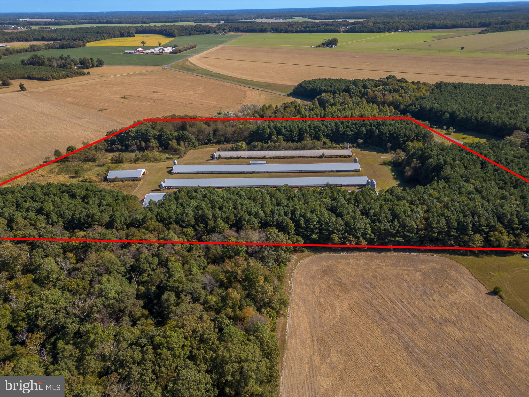 NONE AVAILABLE - Farm