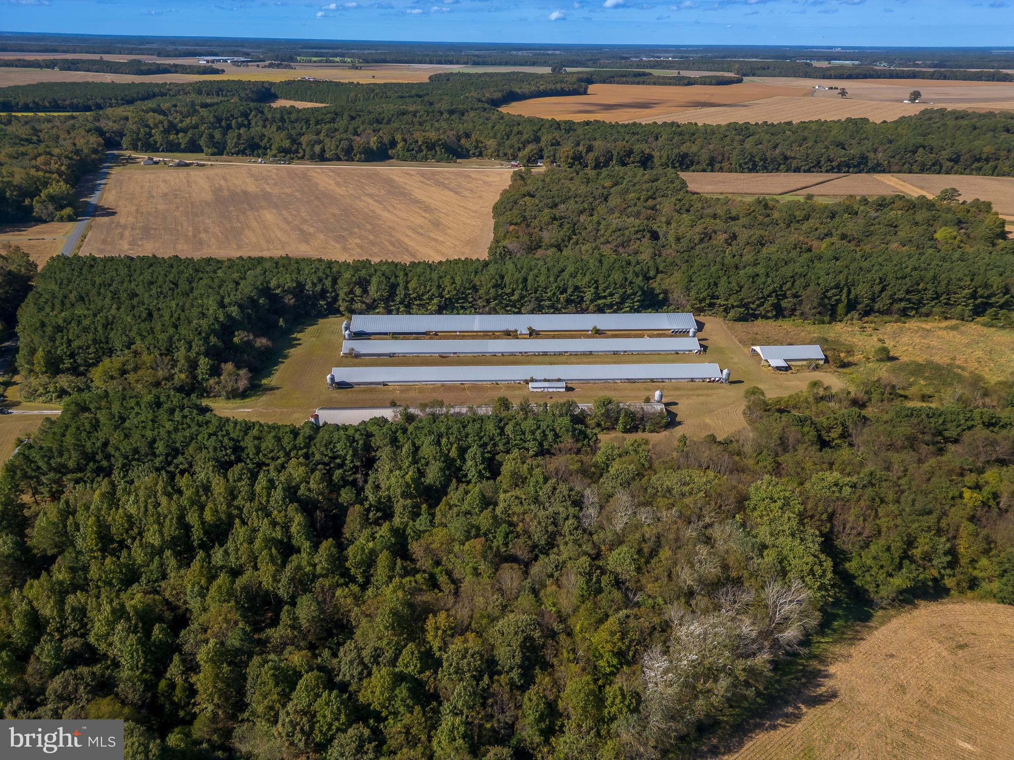 NONE AVAILABLE - Farm