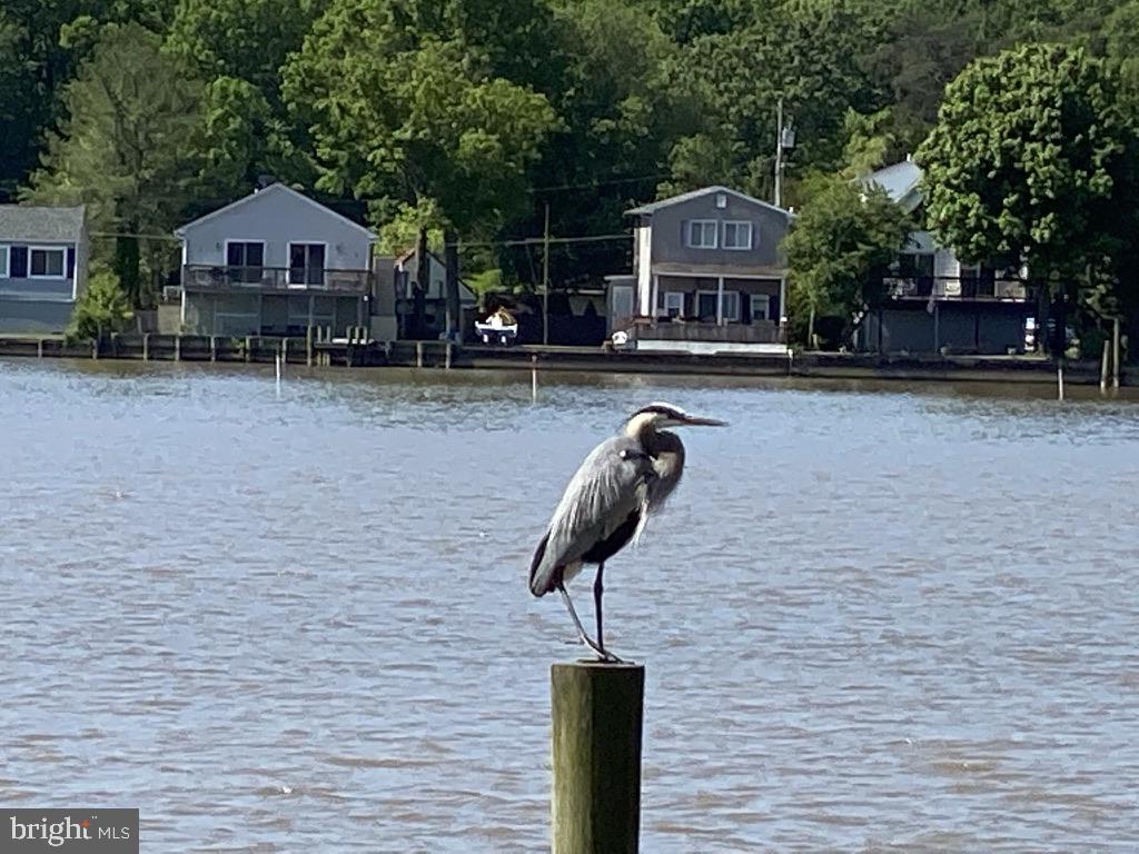 LORELEY BEACH - Residential