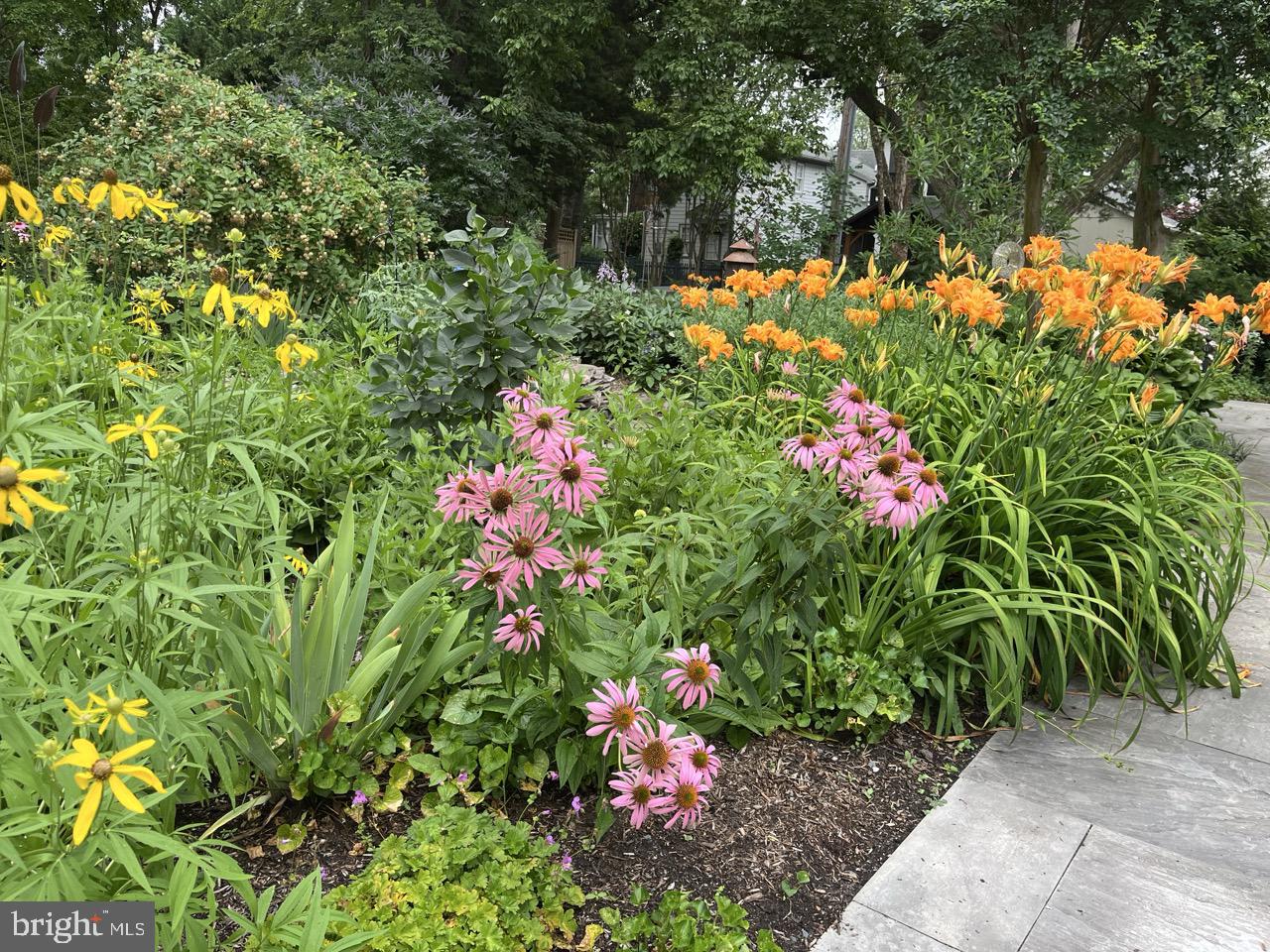 HISTORIC DISTRICT EASTON - Residential