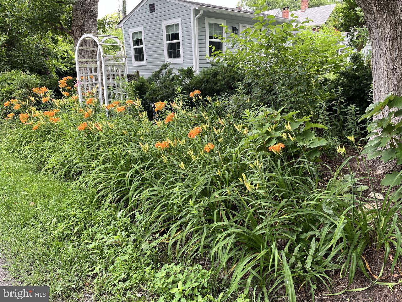 HISTORIC DISTRICT EASTON - Residential