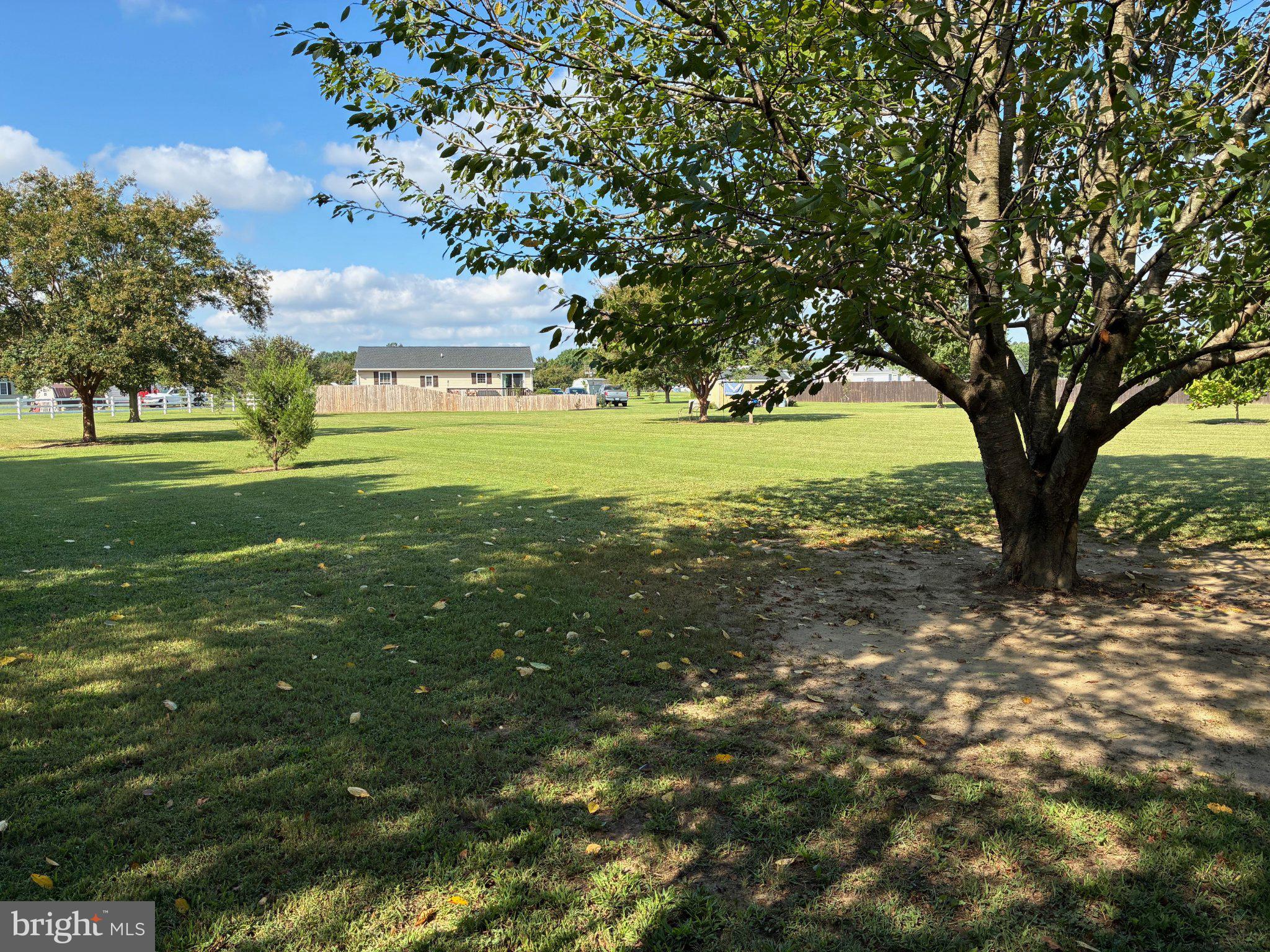 4151 WHITELEYVILLE ROAD