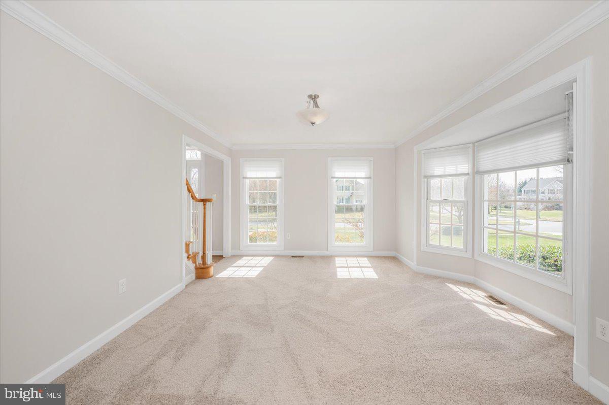 ELIZABETH'S DELIGHT - Residential