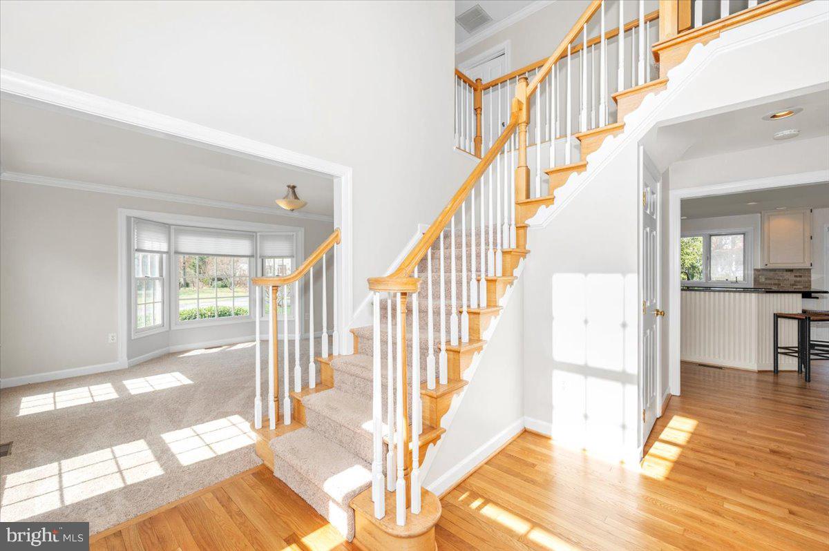 ELIZABETH'S DELIGHT - Residential