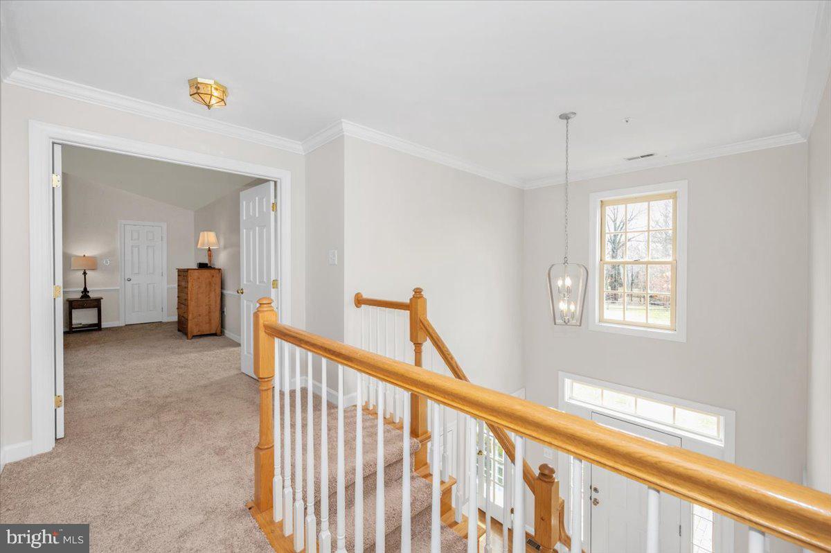 ELIZABETH'S DELIGHT - Residential