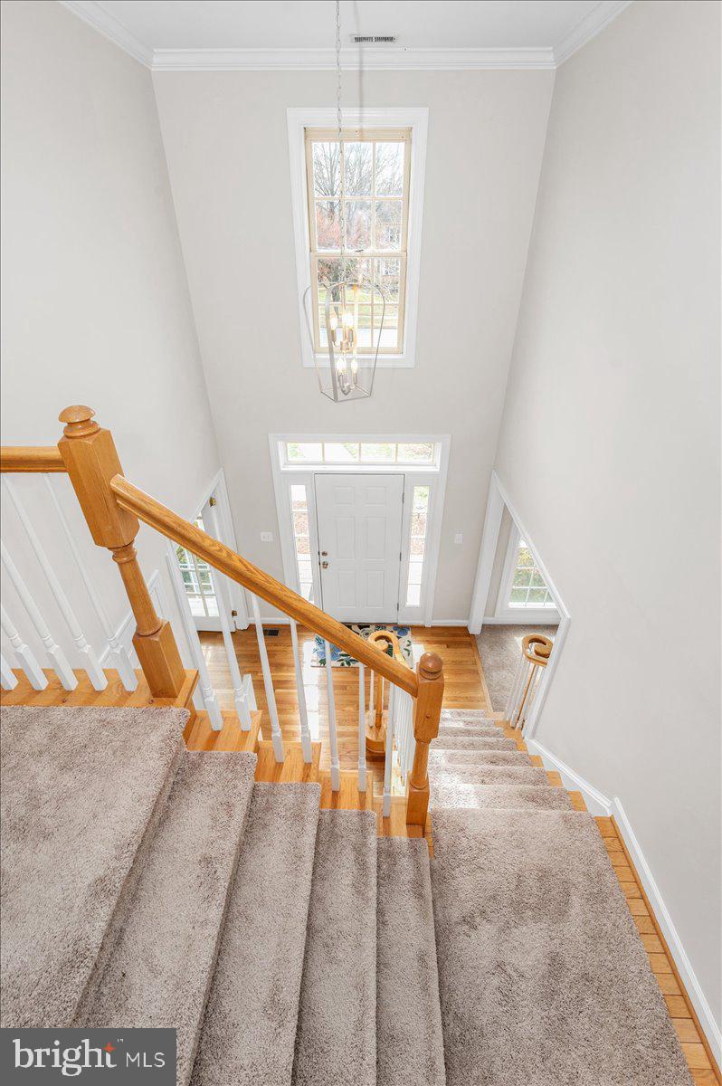 ELIZABETH'S DELIGHT - Residential