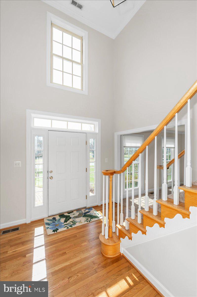 ELIZABETH'S DELIGHT - Residential