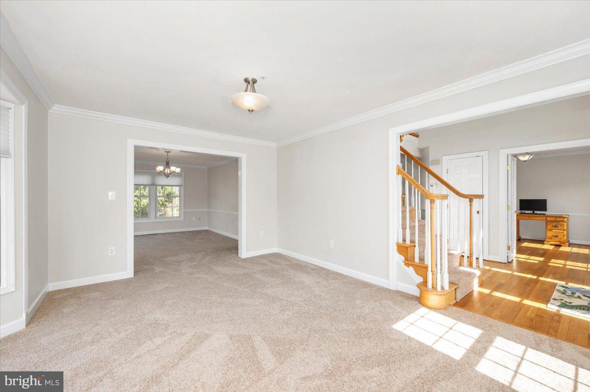 ELIZABETH'S DELIGHT - Residential