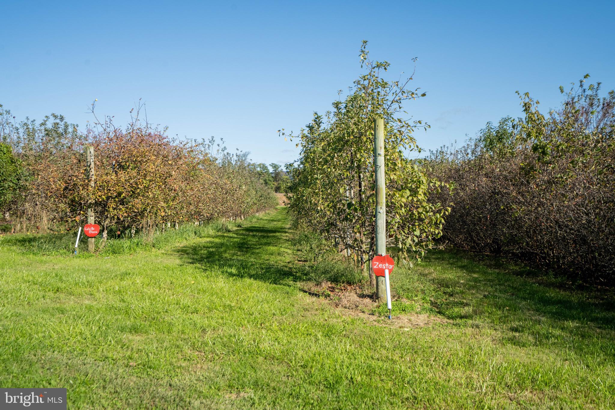 NONE AVAILABLE - Farm