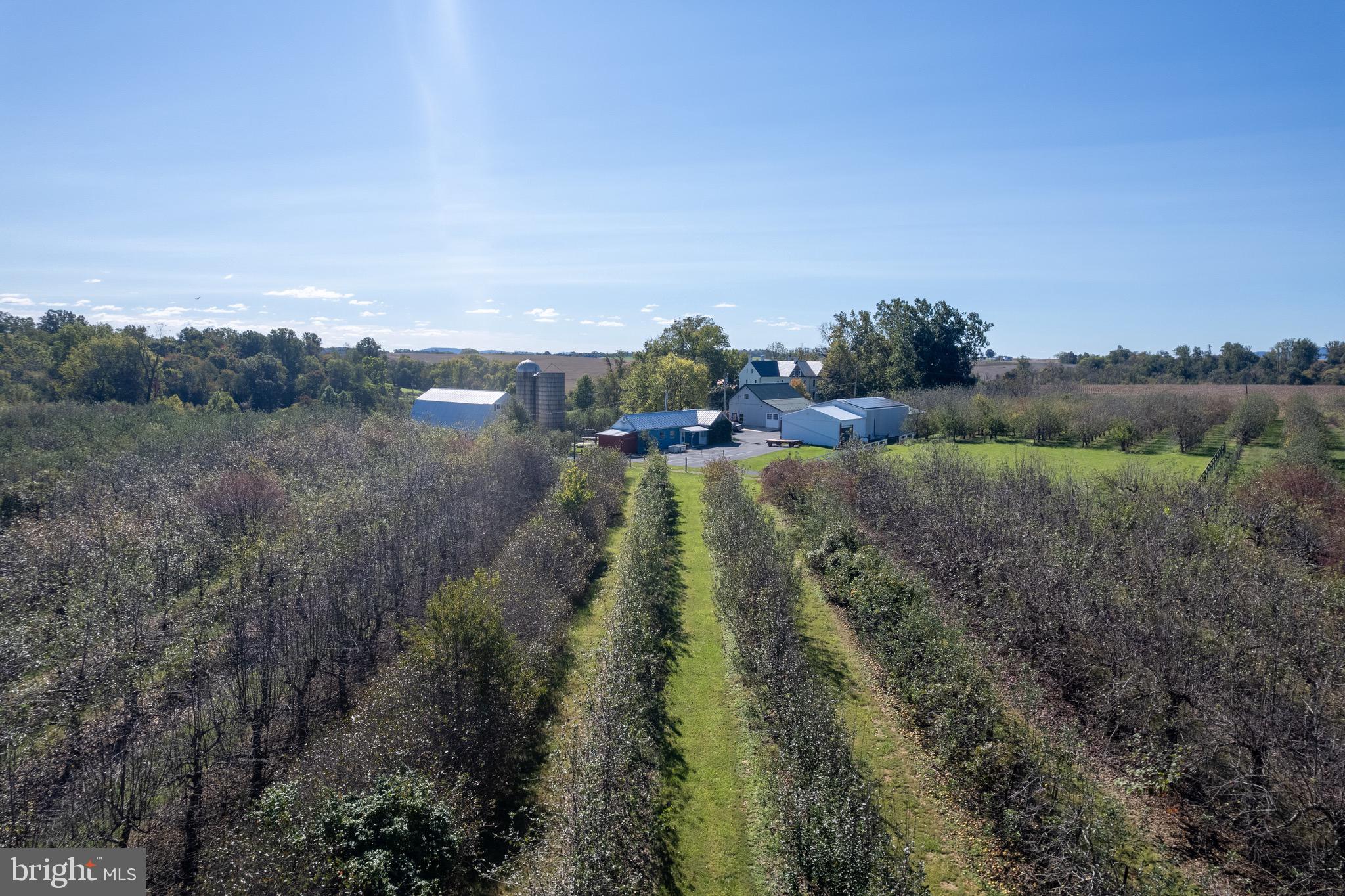 NONE AVAILABLE - Farm