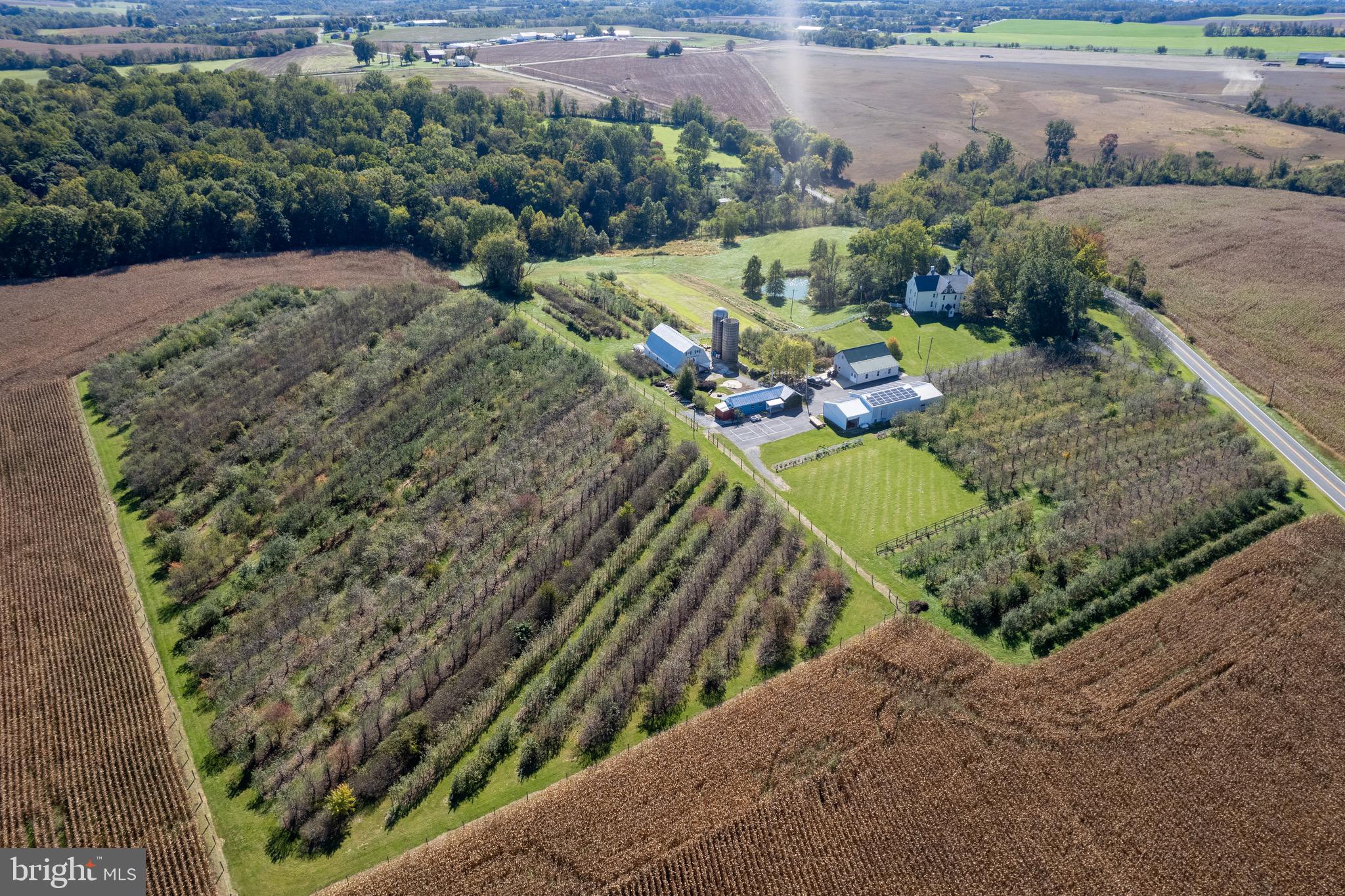 NONE AVAILABLE - Farm