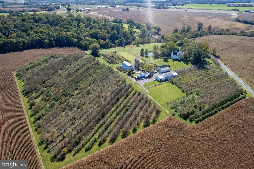 Nestled at the foothills of the Appalachian Mountains, Distillery Lane Ciderworks is a historic 94-acre farm and cidery located in Jefferson, Maryland. This property presents a rare opportunity to own a thriving orchard and former cidery business with deep roots in Maryland’s agricultural history. With a beautifully restored historic farmhouse, expansive acreage, and robust infrastructure, this estate offers both an ideal living environment and a prime opportunity to reopen the cidery or expand into other agritourism ventures, such as a winery, food processing, brewery, distillery, or event space.
The 94.47-acre farm features diverse landscapes, including:
...40 Acres of Tillable Land – Currently leased for crop production, with opportunities for farming other crops or expanding into other agricultural uses.
...35 Acres of Woodlands – Perfect for timber, conservation, or nature-based tourism.
...10 Acres of Apple Orchard – Established with disease-resistant and heritage apple varieties, many of which are specifically grown for cider production. This orchard has been supplying local and regional markets, including Mount Vernon, for years.
...8 Acres of Pasture & 2 Acres of Homestead – Ideal for livestock, agricultural expansion, or potential event spaces.
Agricultural and historic easements on the property and surrounding land preserve the scenic viewshed.
Historic Farmhouse (Restored) The centerpiece of the property is a beautifully restored 4,750 SF historic farmhouse, originally built in the 1840s with a rear addition around 1900. Known as the Harley Farm, the property holds historical significance tied to the Battle of Crampton’s Gap during the Civil War. It’s listed on the Maryland Historical Trust for its unique heritage.
The spacious farmhouse includes:
...6-7 bedrooms, perfect for family living or B&B potential
...A cozy living room with a wood fireplace and a gas fireplace in the kitchen
...Two-zone electric heat with new energy-efficient heat pumps
...Full attic, new water treatment system, water softener, filtration, and UV treatment
...Updated plumbing, one well, and two septic systems
...Two-zone radiator hot water heating system. Oil-fired, used as back-up.
...New slate roof
Outbuildings & Infrastructure The property is fully equipped with an array of outbuildings, perfect for farming operations, events, or business activities:
...36’x60’ Dairy Barn – A historically significant barn that may be restored and repurposed as a tasting room or event venue.
...34’x44’ Cider House – Utilized for cider production with room to expand and add new equipment. Was operated as a Maryland-licensed food processing facility. This building features an energy-efficient heating and cooling system.
...96’x44’ Storage Shed – Ideal for storage or to house additional farming equipment.
...30’x24’ Detached Garage & separate Bottling Shed – Additional facilities to support a growing business.
...Three Walk-In Coolers
The property is powered by a 25-kw solar energy system, making it an environmentally sustainable choice for modern agriculture and business ventures.
Cider Business: Previously known as Distillery Lane Ciderworks, this first licensed cidery in Maryland enjoyed success producing craft ciders from its own apple orchards. The business was known for producing a variety of hard ciders, including varieties grown for George Washington’s original cider recipe, which was sold to Mount Vernon. The cidery had a winery license for retail sales and distribution, including to multiple states (MD, VA, DC), and a food processing license for cider production. Although the business ceased operations in 2024, infrastructure and a loyal customer base remain. Trademarks (including "Distillery Lane Ciderworks" and "Celebration Cider”), along with the business website and social media accounts, are included with the sale of the property.  Shown by appointment only, no drive-bys please.