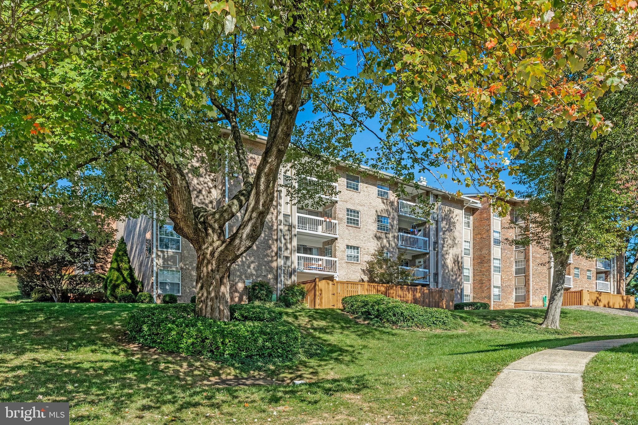 MC LEAN CHASE - Residential Lease