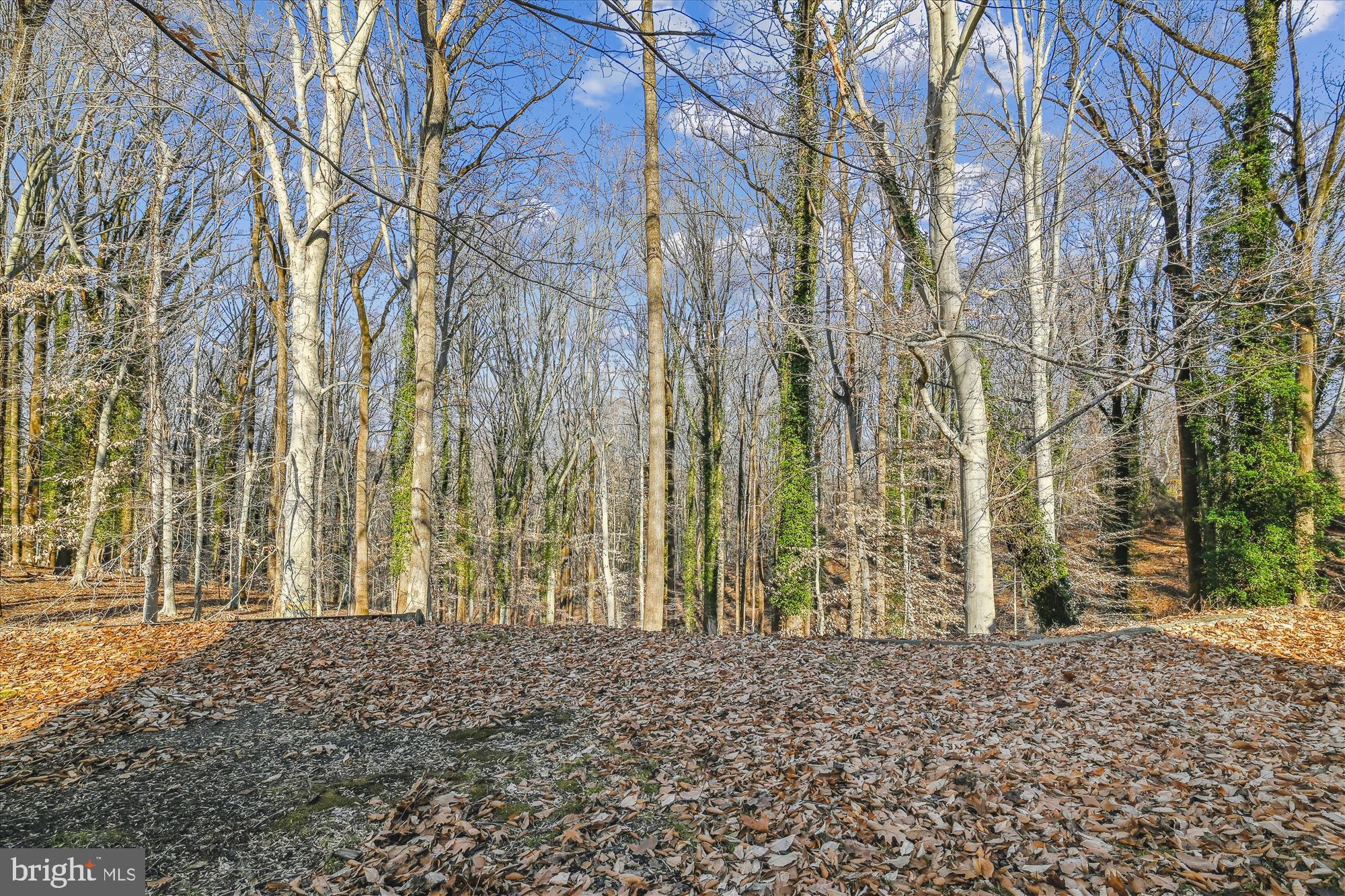 AVALON - Residential