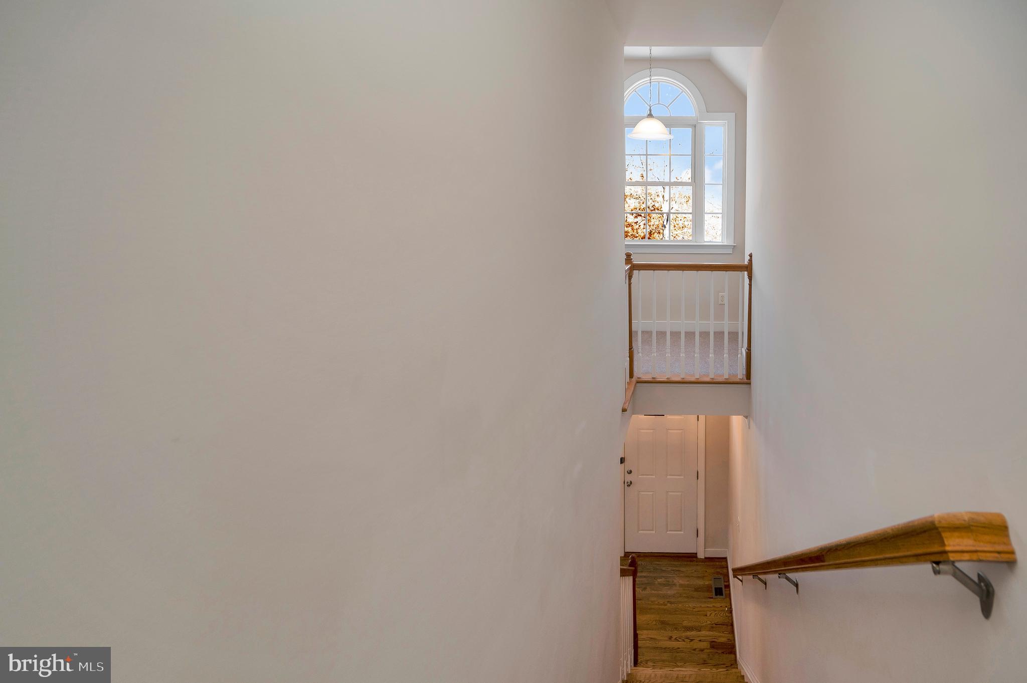 BEAGLE RUN - Residential