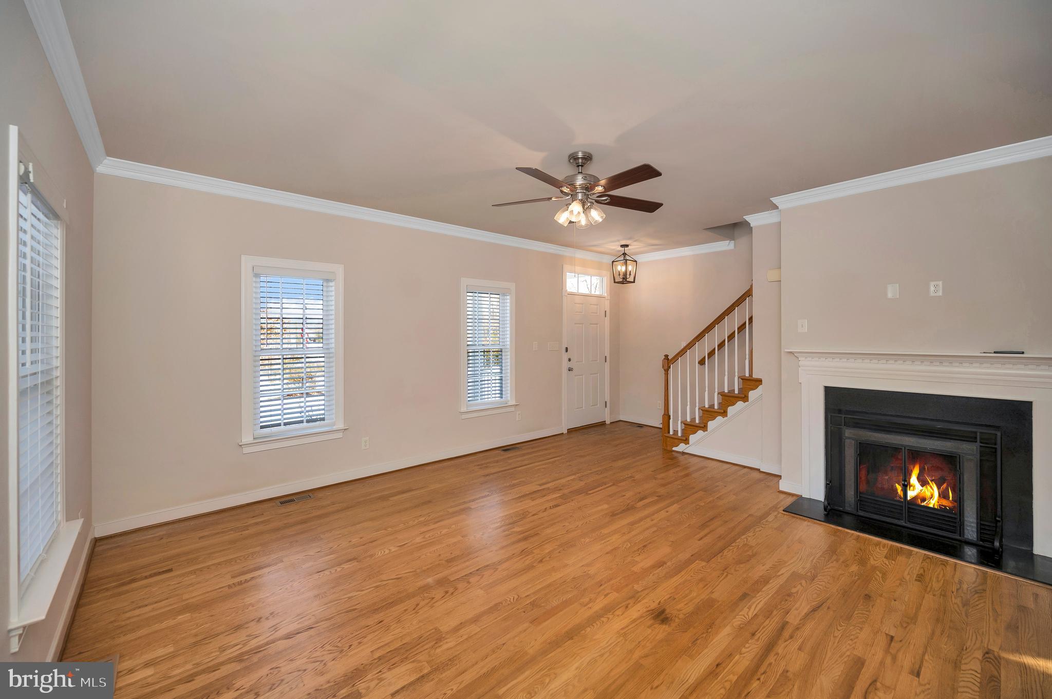 BEAGLE RUN - Residential