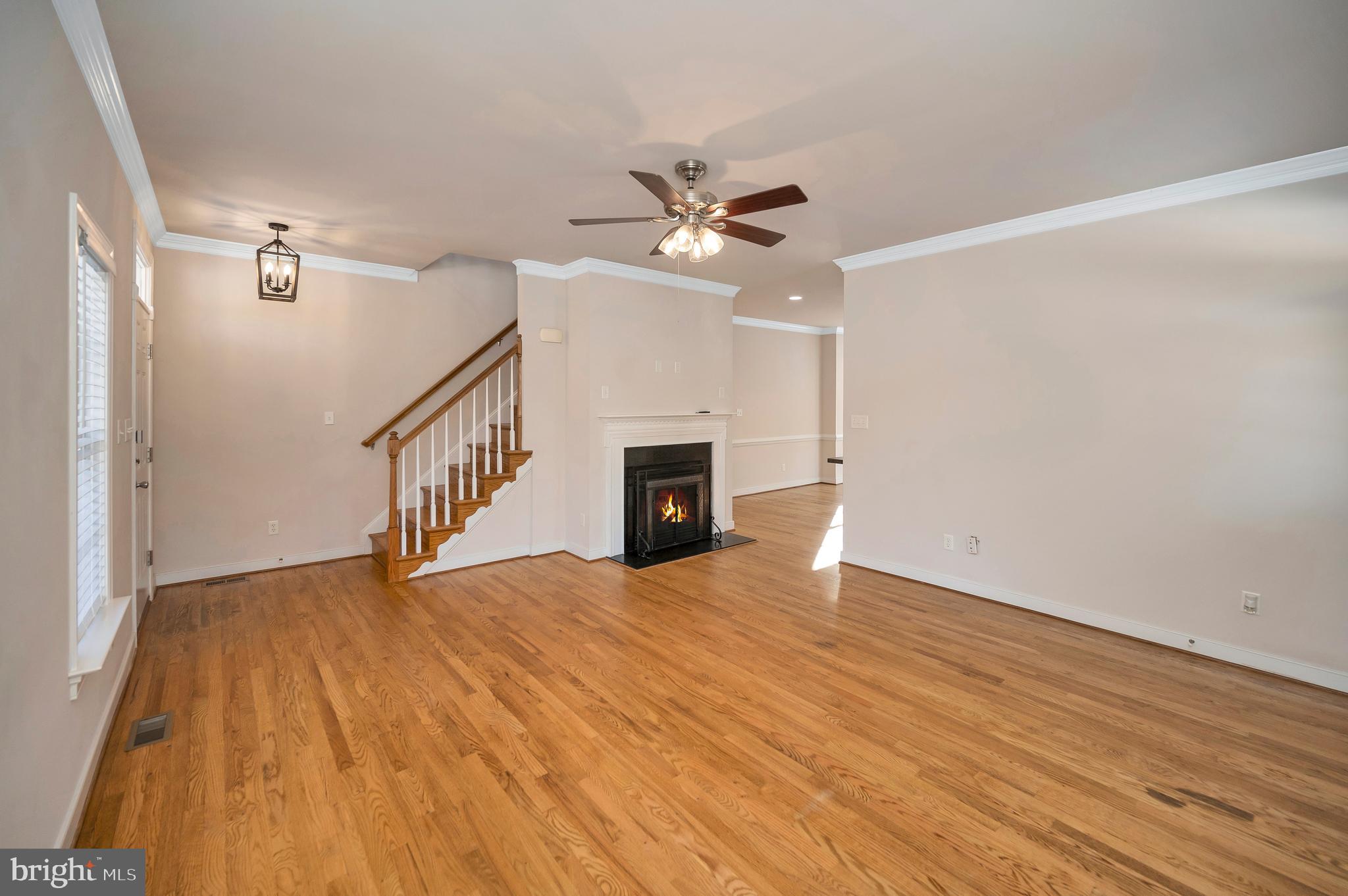 BEAGLE RUN - Residential