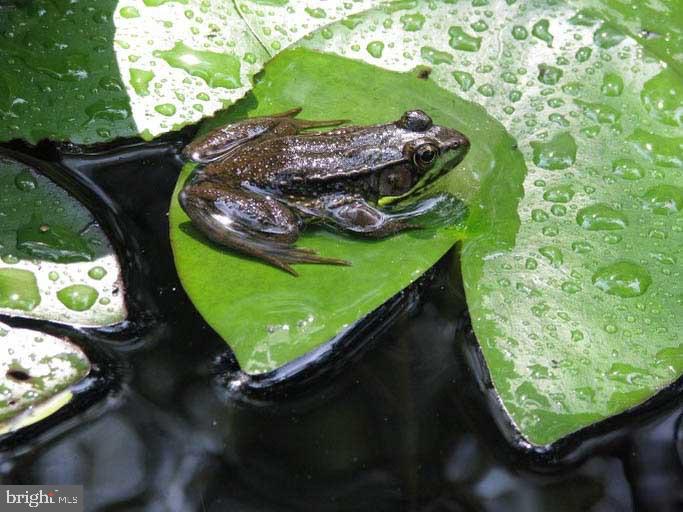 HUNT VALLEY - Residential