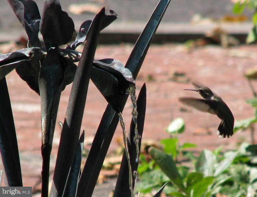 HUNT VALLEY - Residential