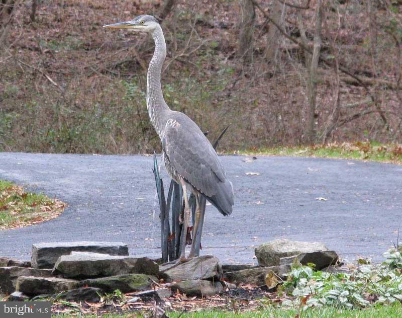 HUNT VALLEY - Residential