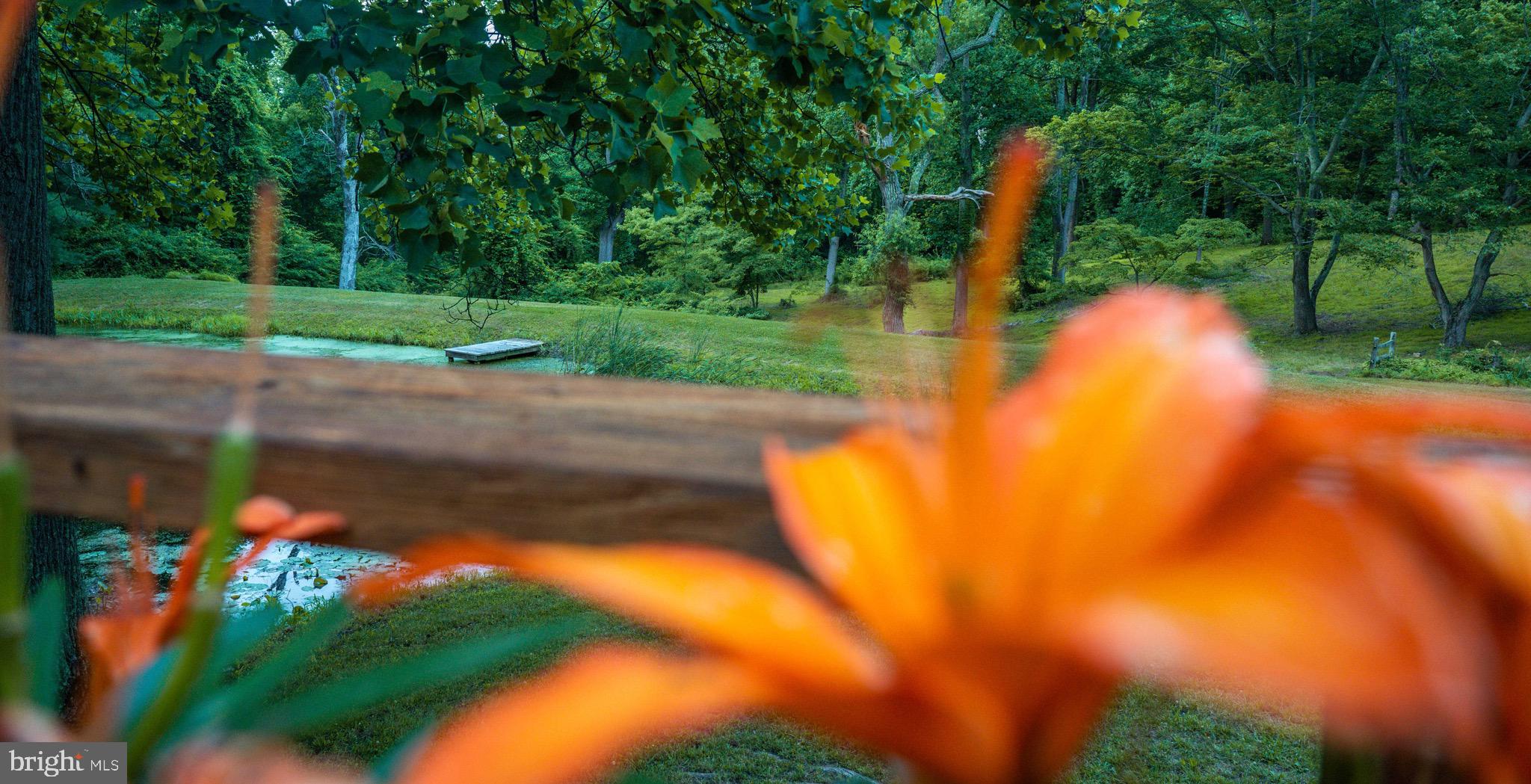 HUNT VALLEY - Residential