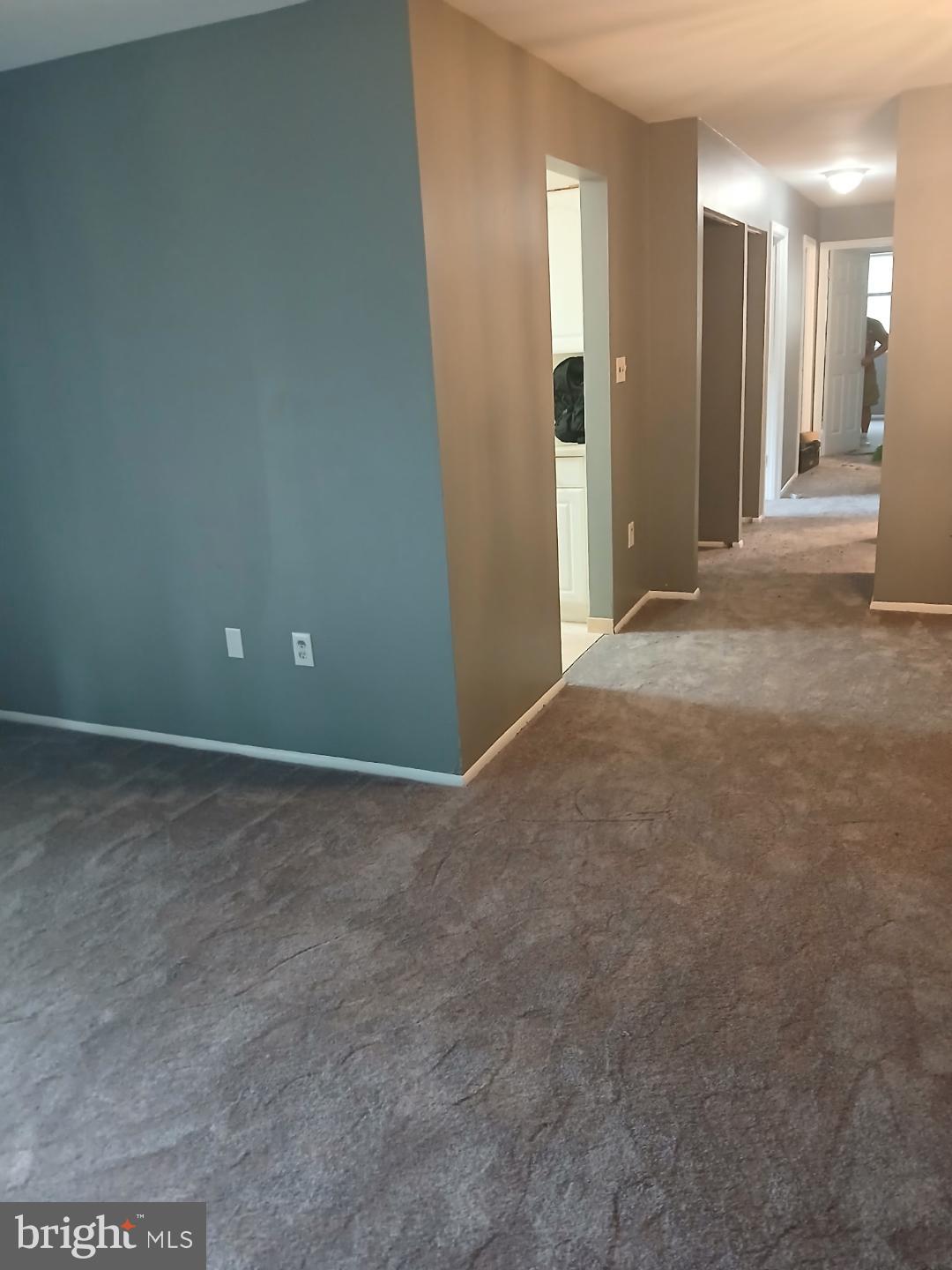 11316 CHERRY HILL ROAD 203