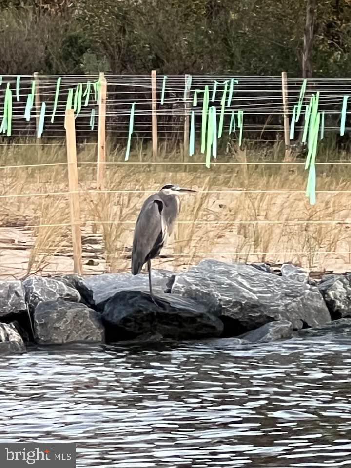 LONGVIEW ON MAGOTHY - Residential