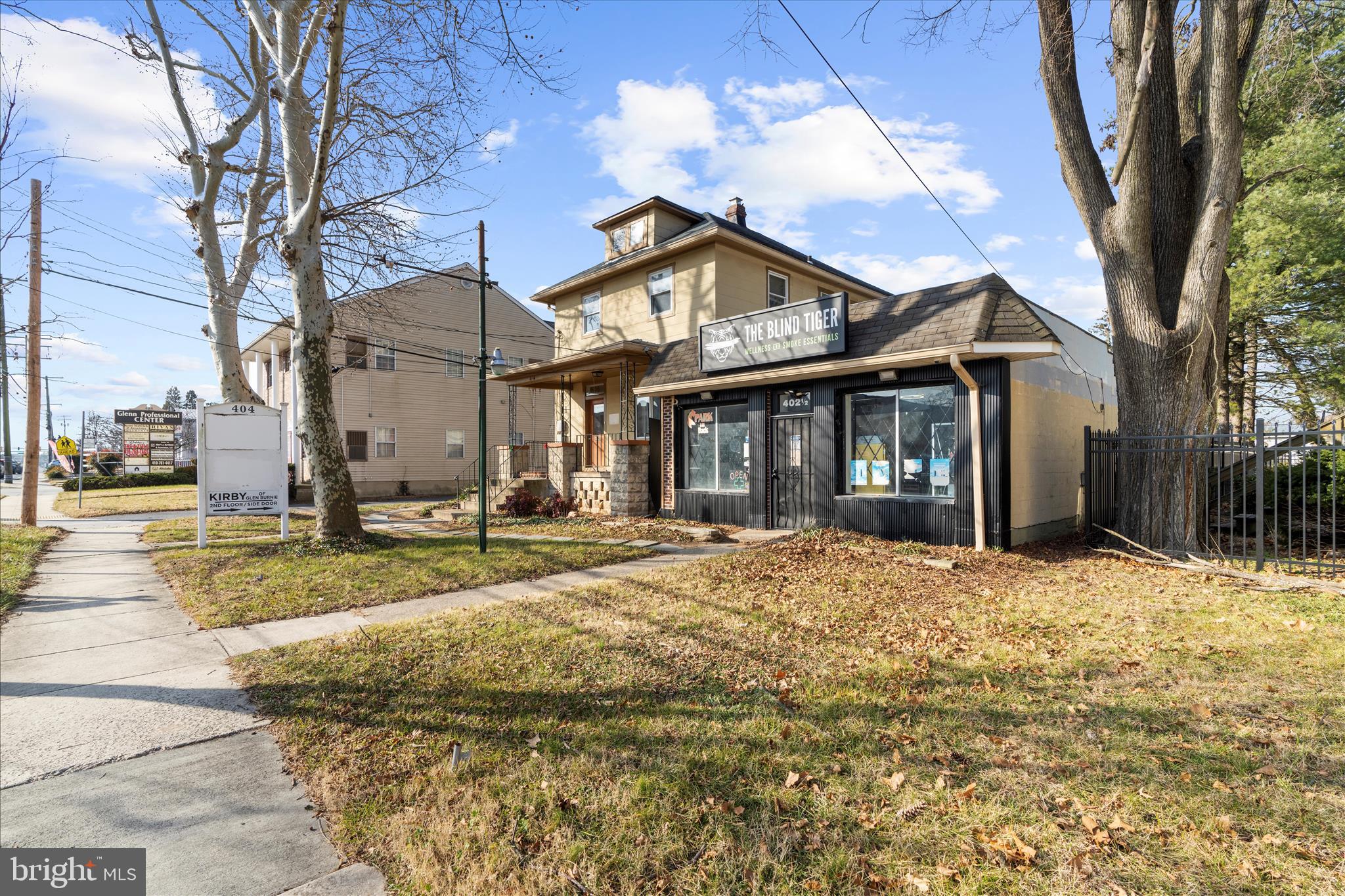 Main image without alt text