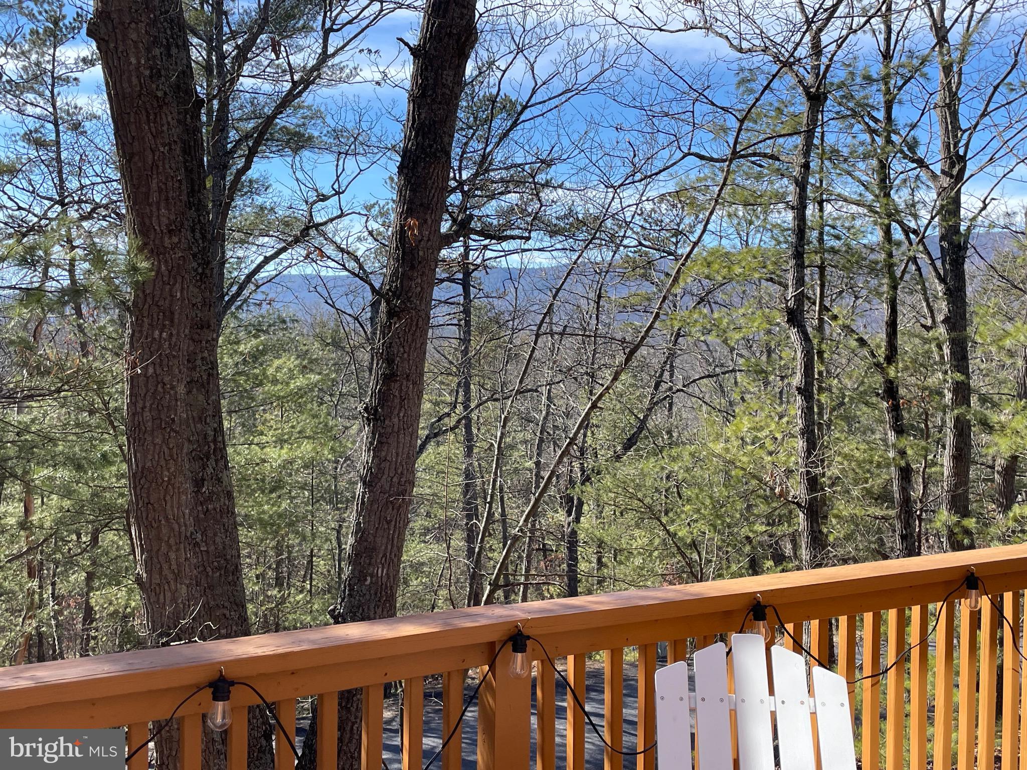 BRYCE  MOUNTAIN  RESORT - Residential