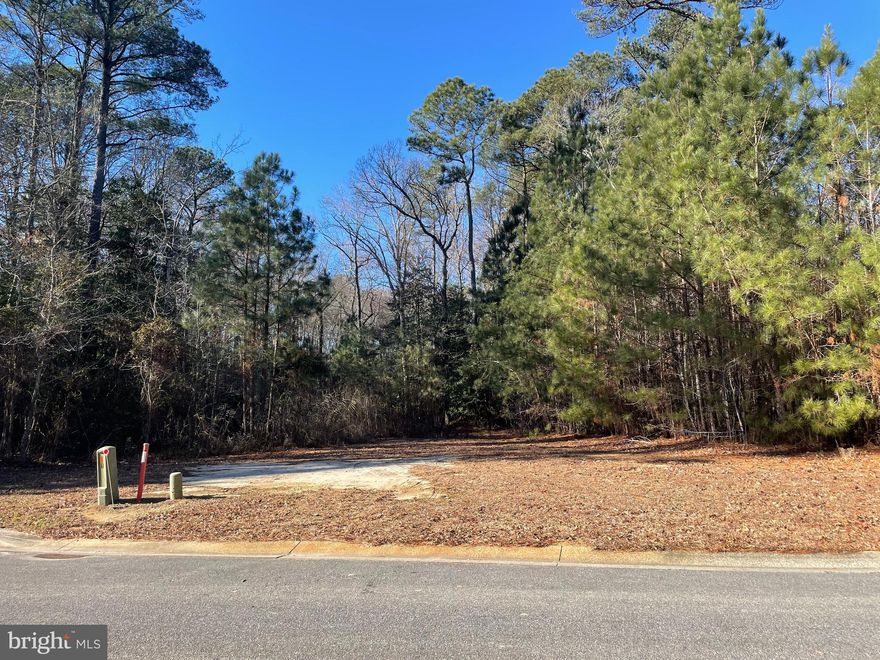 5.10+/- acre private, wooded homesite in Rosewood Forest. There are only six wooded homesites on this street providing a quiet location to build your home. Within minutes of local amenities including medical offices, services, and retail shopping, and less than 30 minutes to the beaches. There is no builder tie-in.