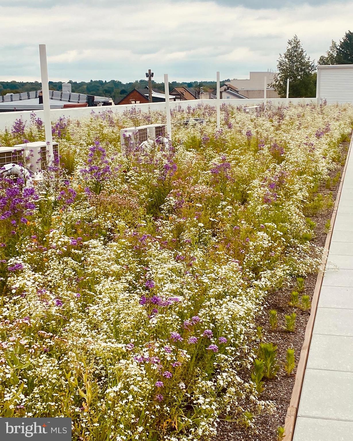 MANAYUNK - Residential Lease