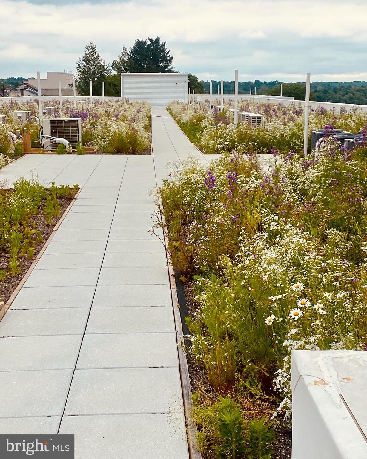 MANAYUNK - Residential Lease