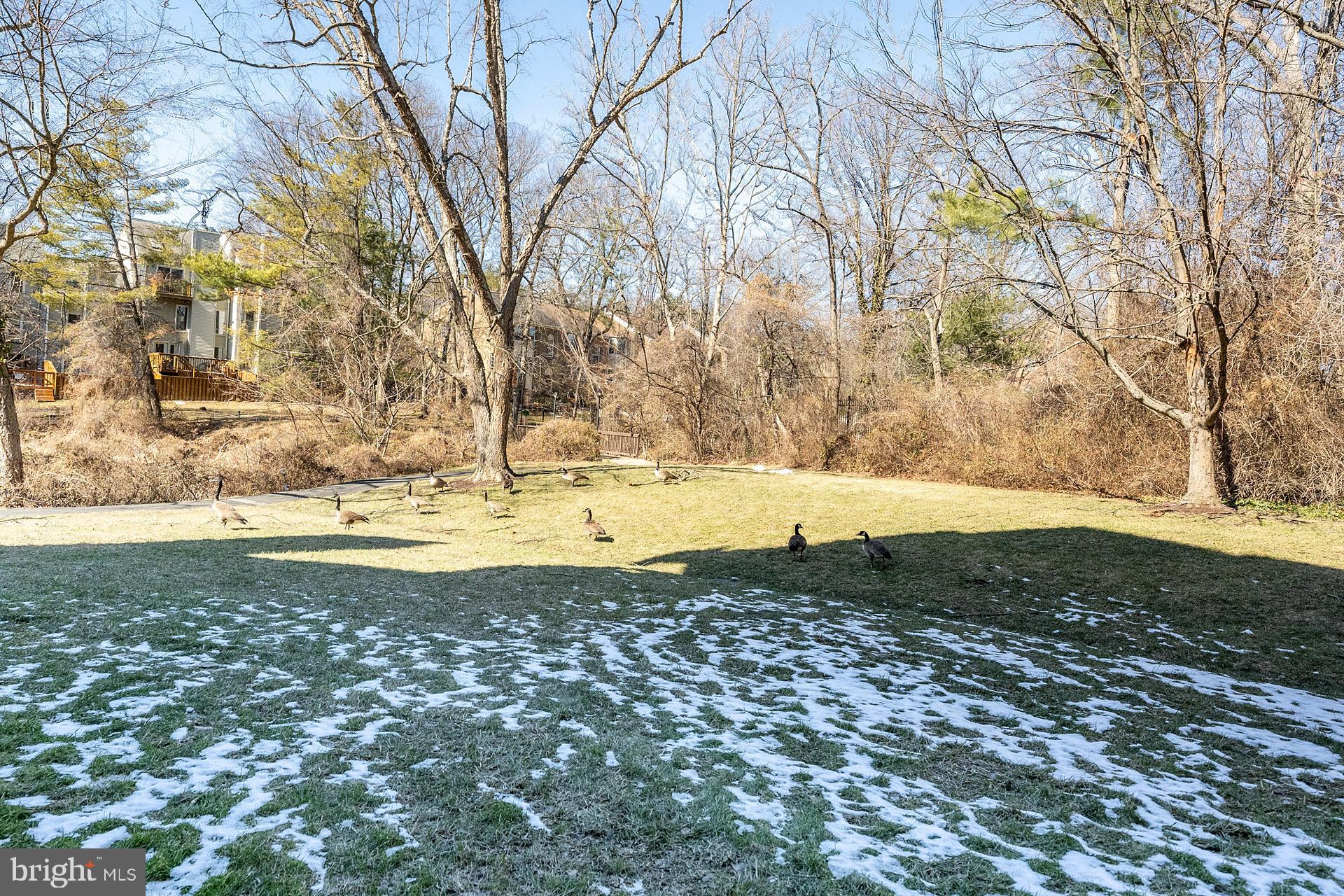 THE COVE - Residential