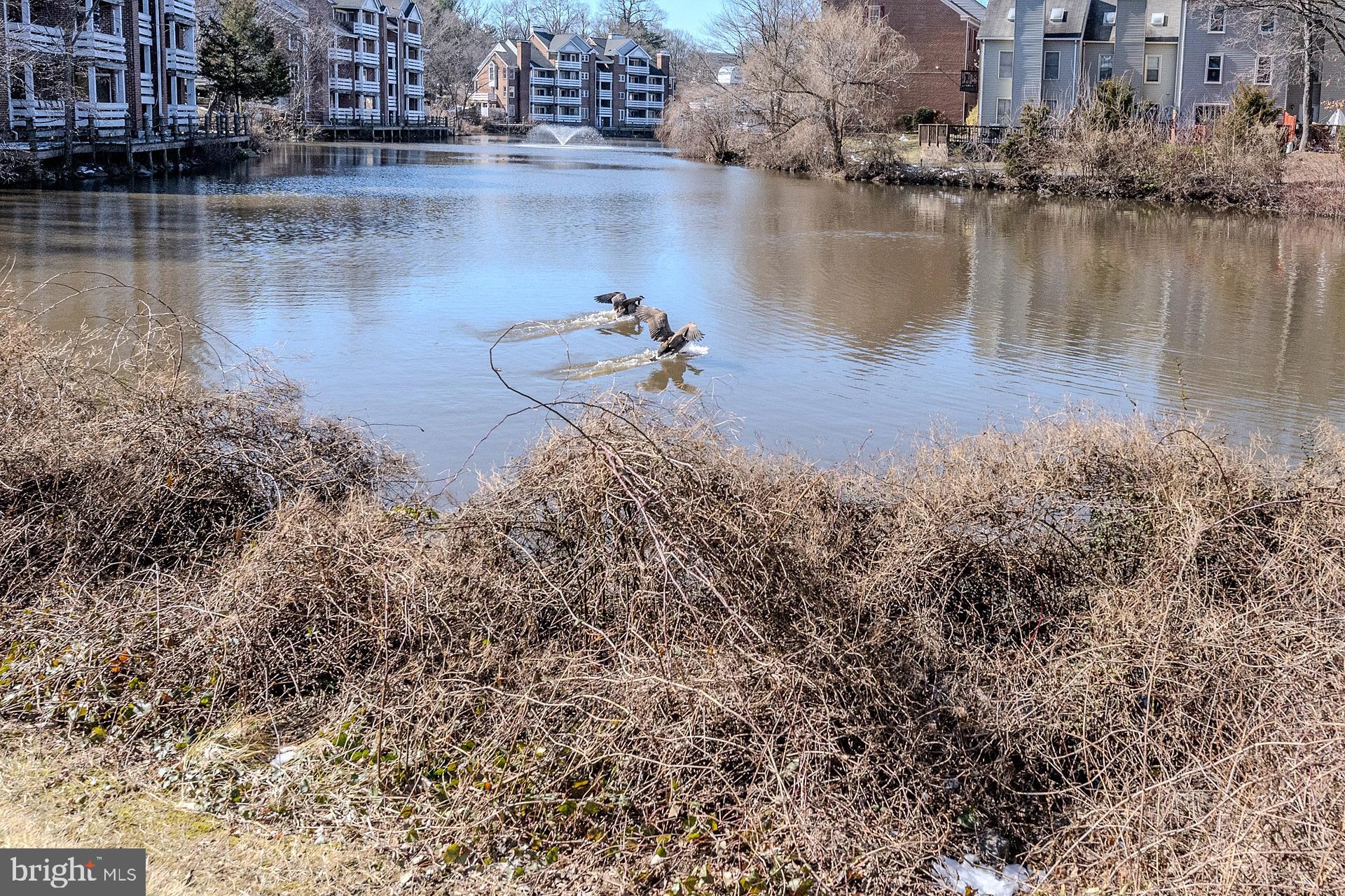 THE COVE - Residential