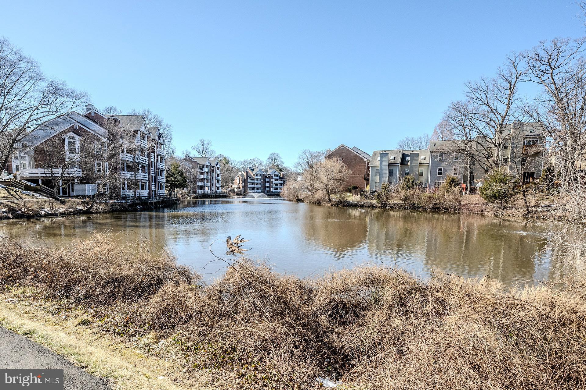 THE COVE - Residential